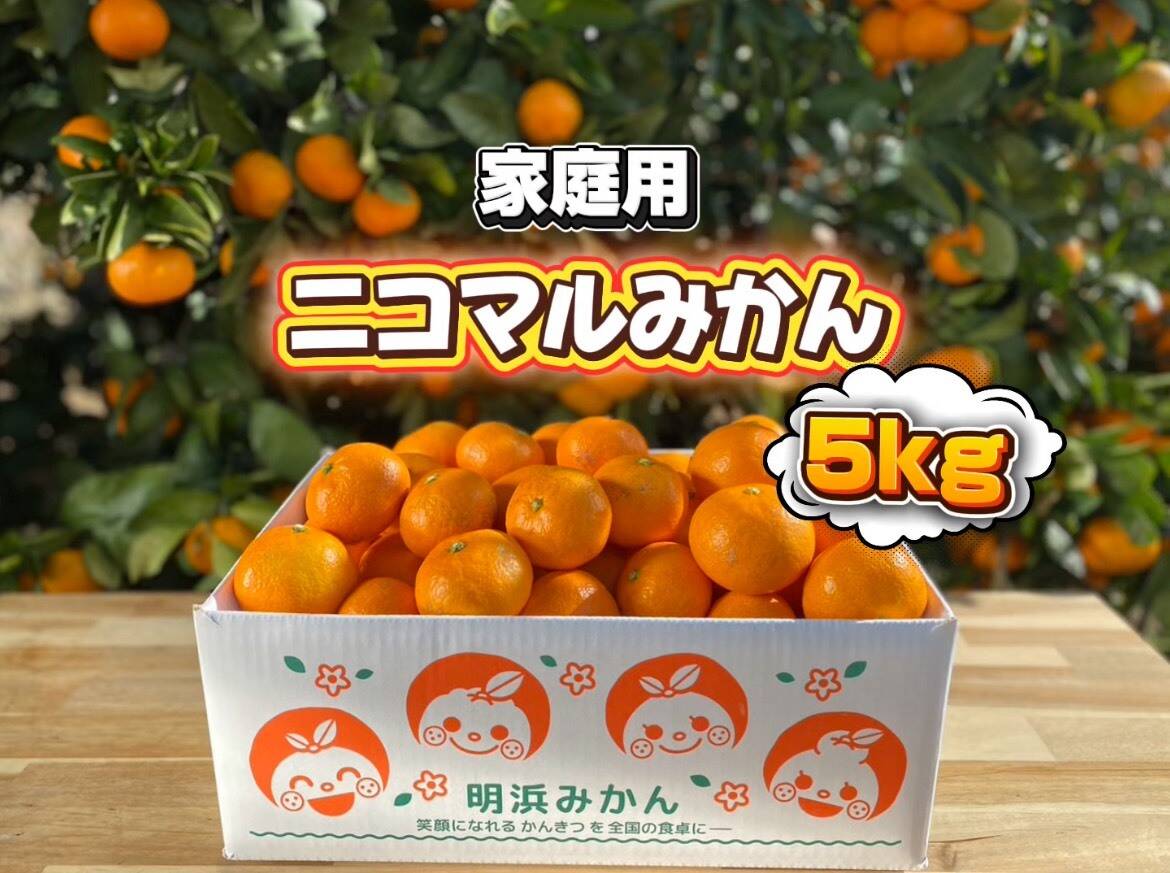 🍊家庭用🍊愛媛県明浜産 温州みかん 5kg：愛媛県産のみかん・柑橘類