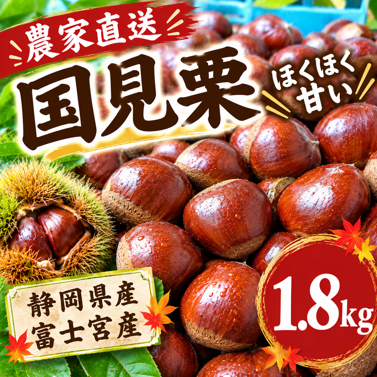 秋の味覚】大粒！国見栗 L〜3Lサイズ 1.8kg 静岡県富士宮産：静岡県産