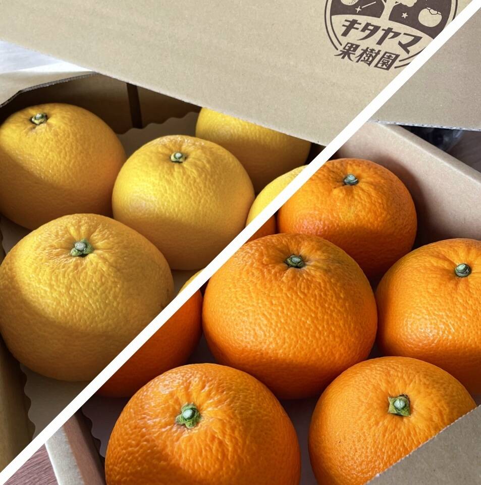 c01233917a76541e96dfbd039c2ba7