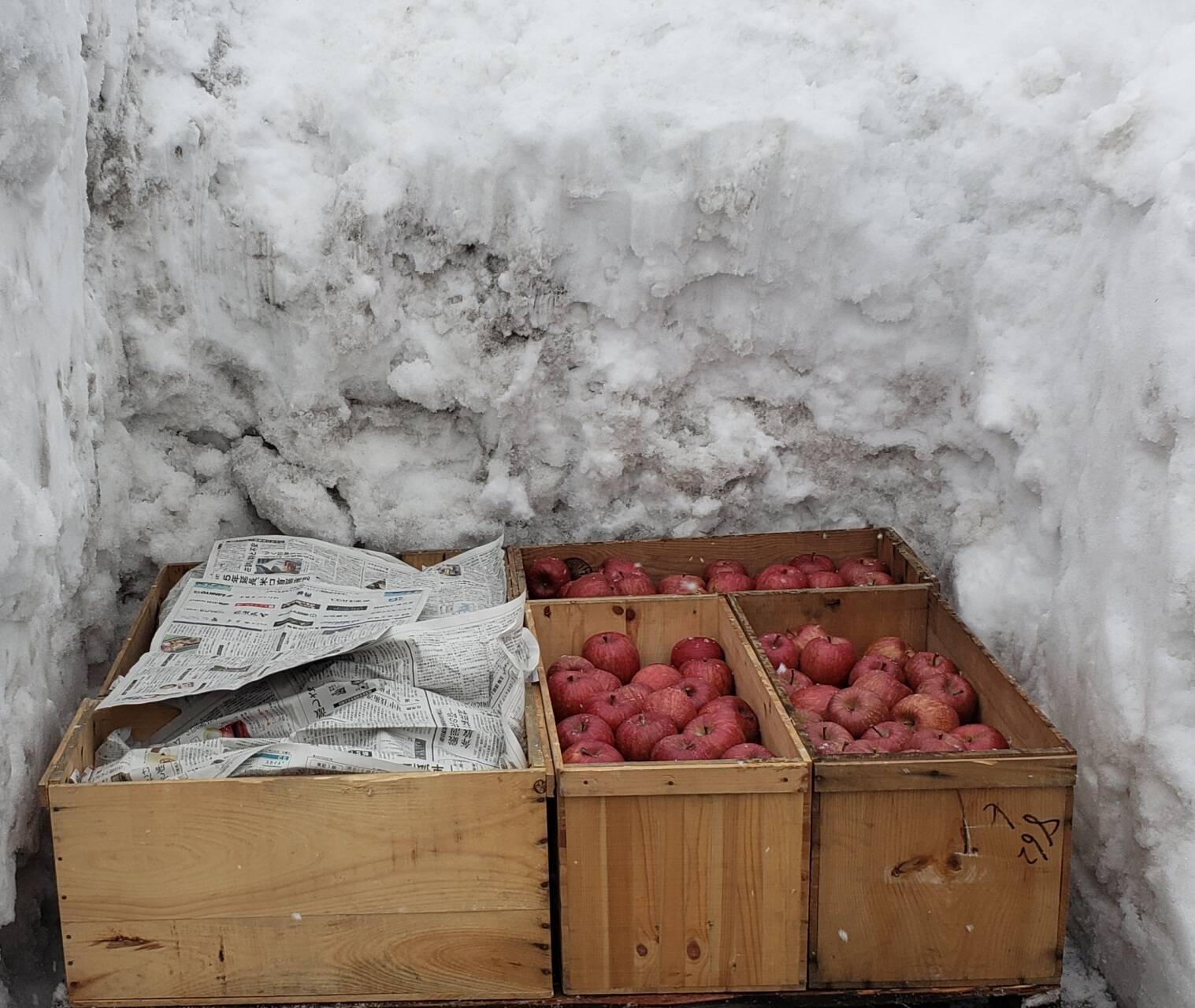 １０名限定です 天然の雪で貯蔵しました 雪室りんご３kg８ー１０個 青森県産 食べチョク 農家 漁師の産直ネット通販 旬の食材を生産者直送