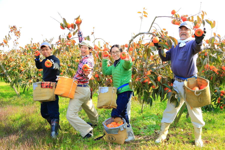 堀うち農園へのレビュー・商品：奈良県｜食べチョク｜産地直送(産直)お取り寄せ通販 - 農家・漁師から旬の食材を直送