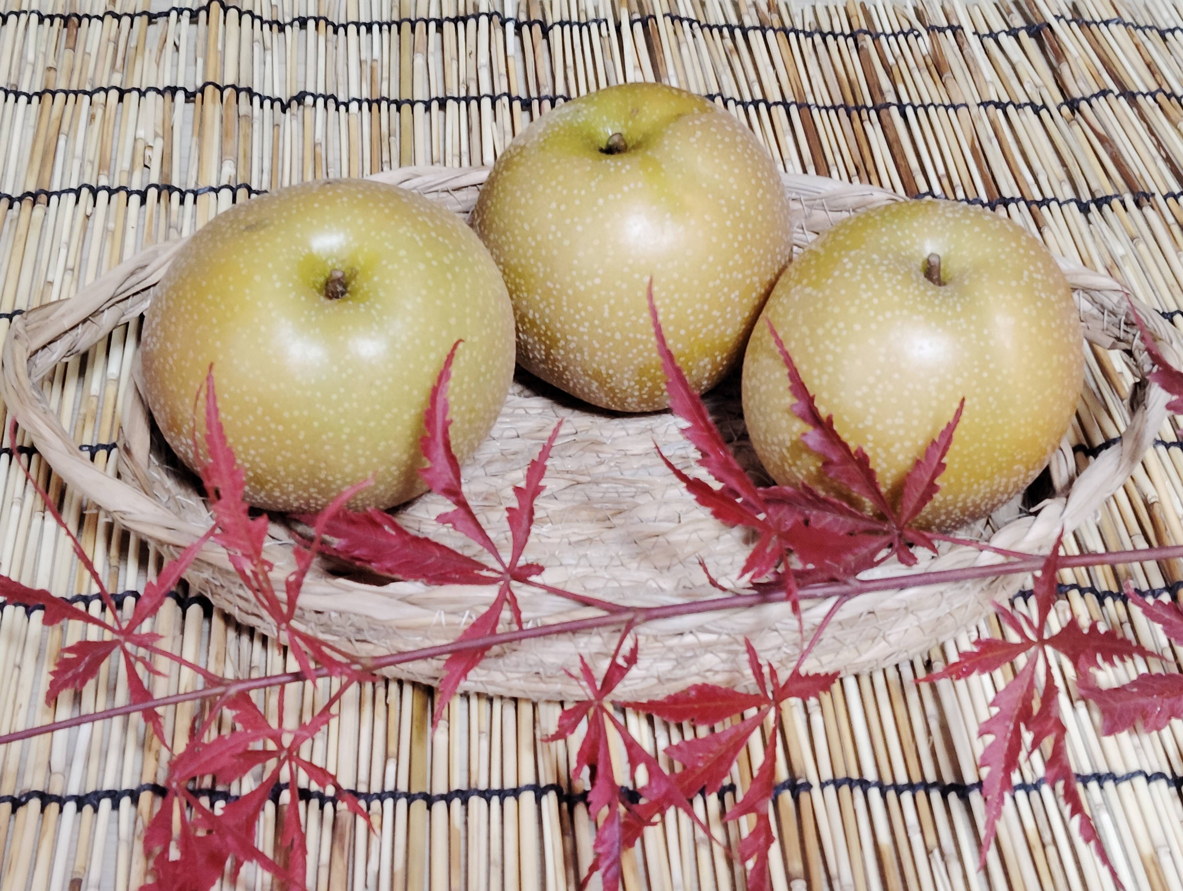 農薬節約栽培】和梨（豊水）約1.5kg 1箱6～8玉 大きさ不揃い：山形