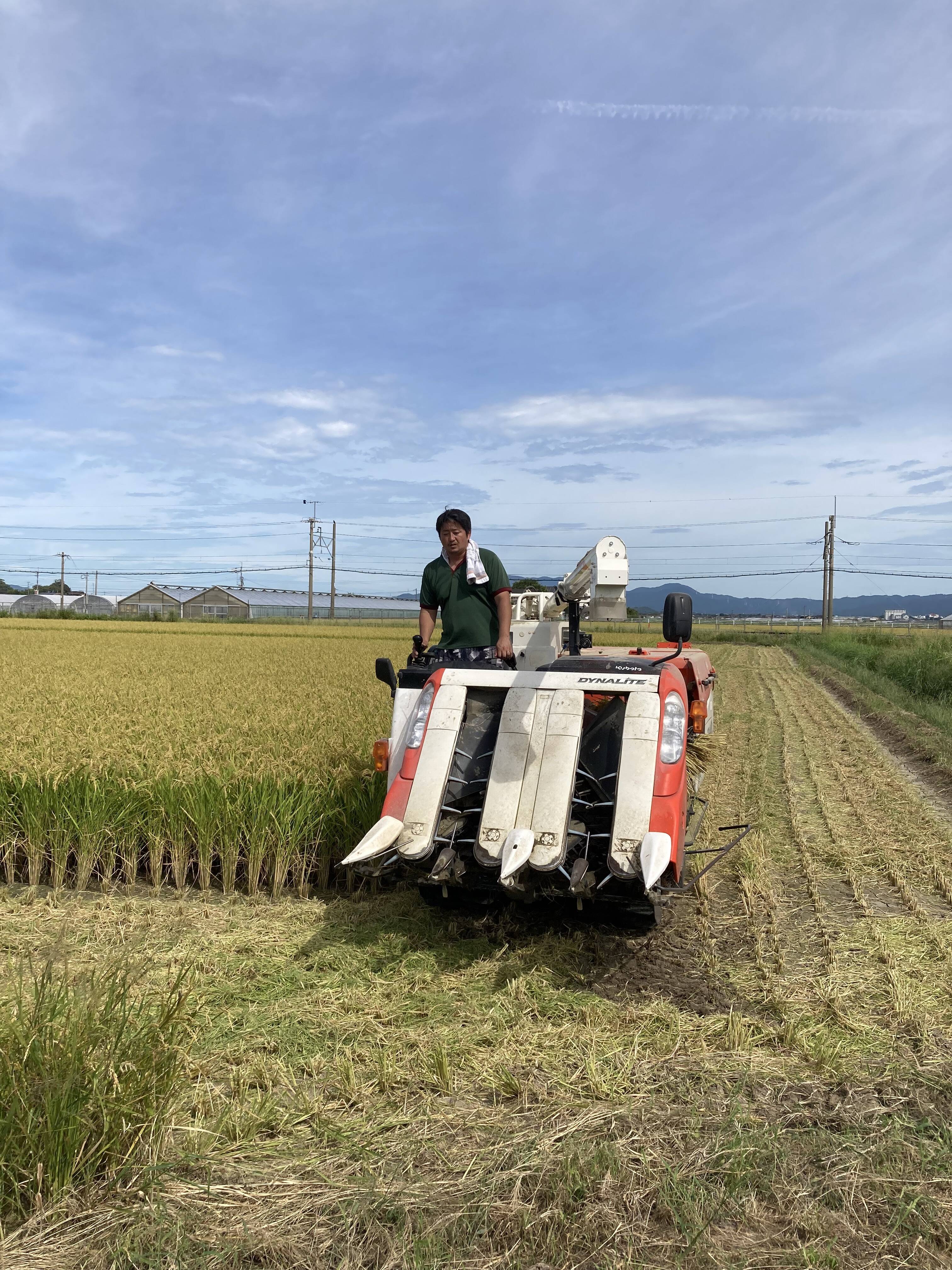 にこまる玄米（熊本県） – 煎茶堂東京オンライン