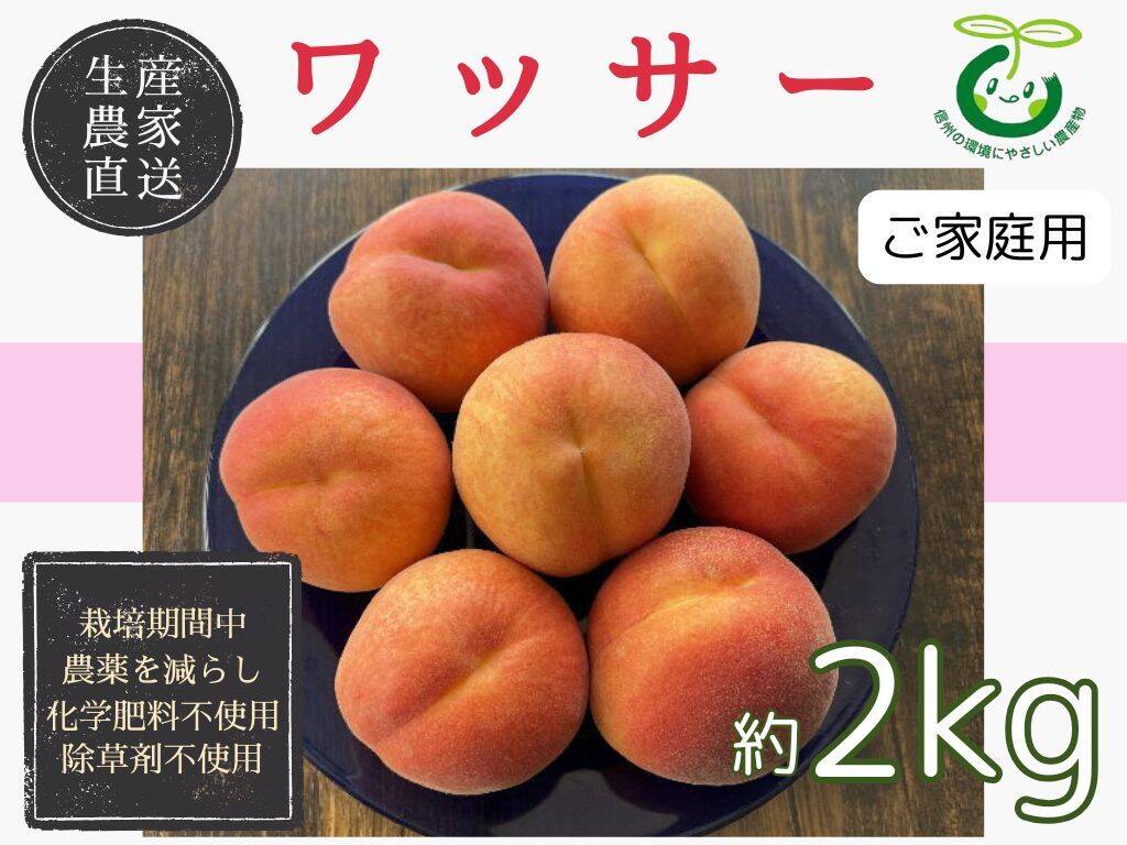 生産農家直送 早生ワッサー 訳ありご家庭用 2kg 長野県産 化学肥料不