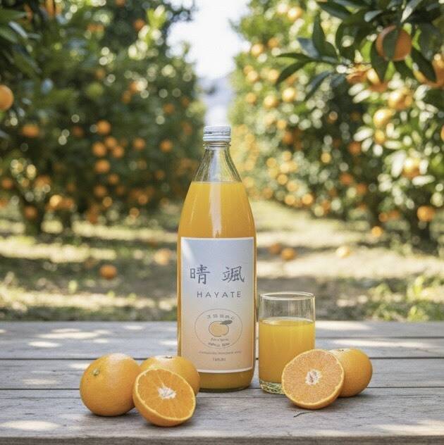 数量限定】希少ブランドみかん100％ジュース 1L✕3本：和歌山県産の