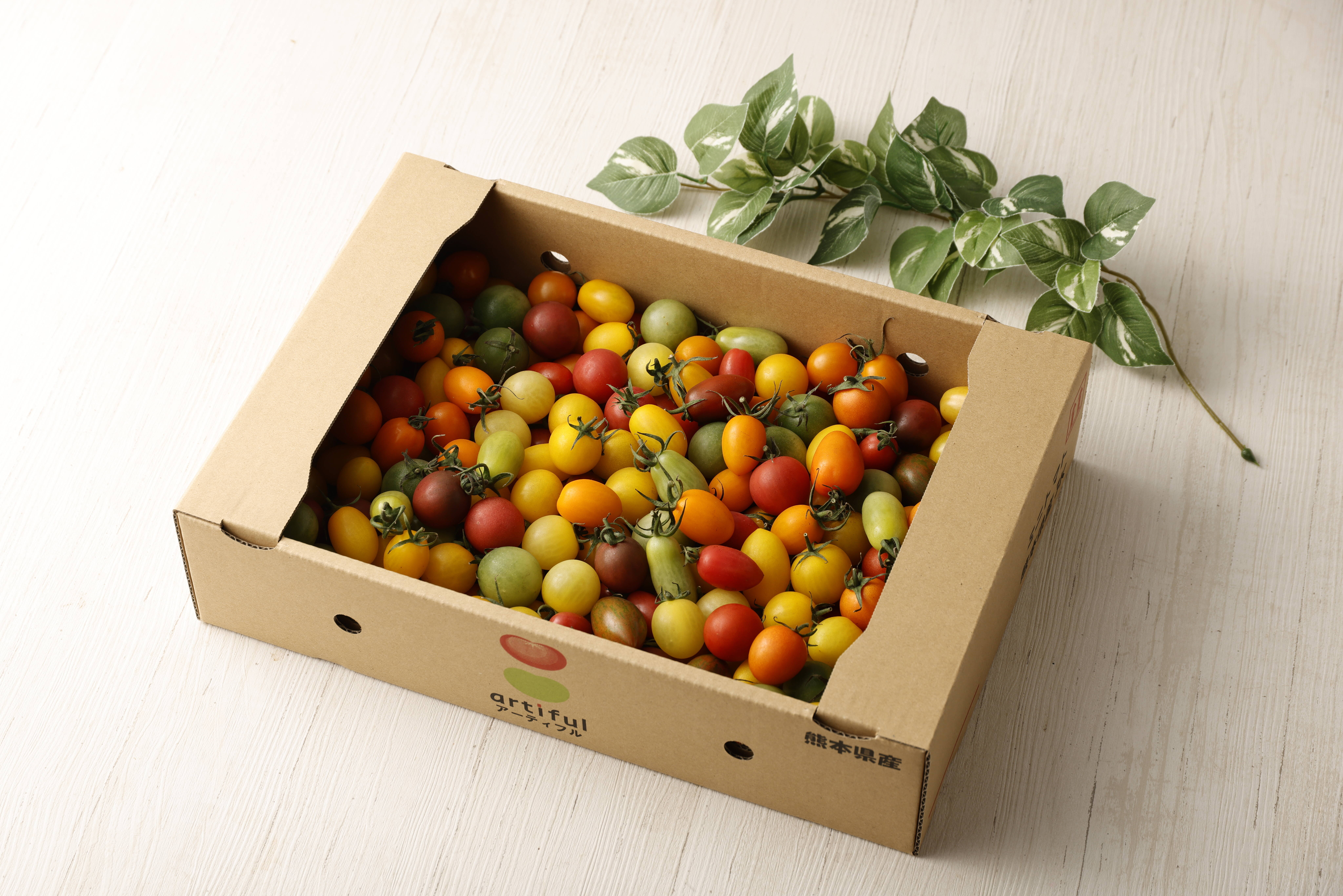 大容量】15～20種のカラフルミニトマト 3kg：ギフトメッセージ対応