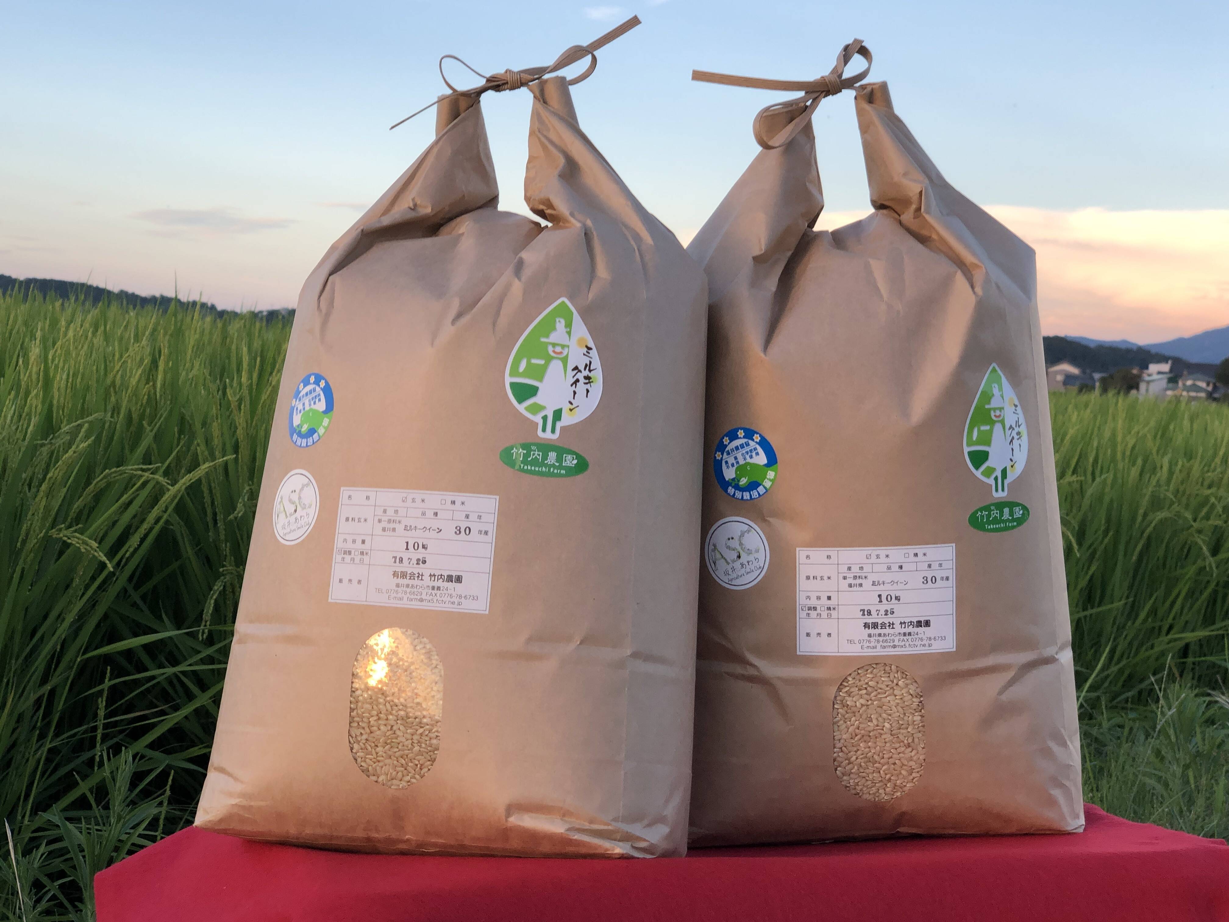 農薬不使用・化学肥料不使用のお米 】特別栽培米コシヒカリ10キロ玄米