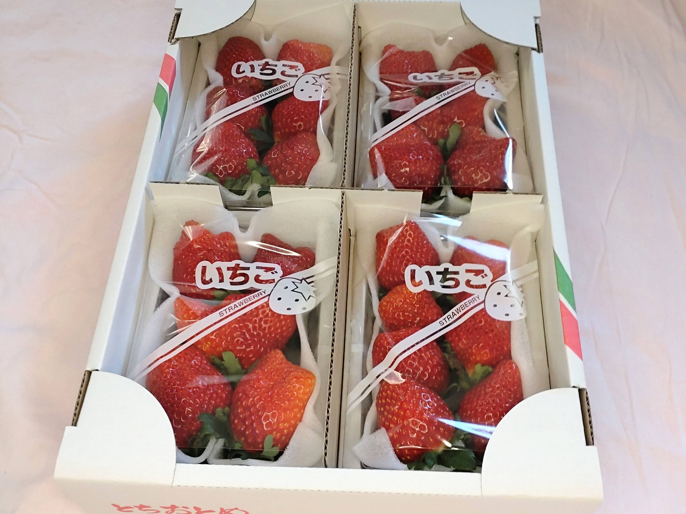 とちおとめ好きのためのとちおとめ（特大）200〜220g（4〜7粒