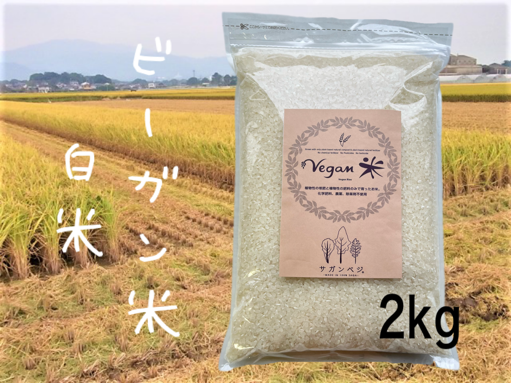 はるみ 白米 30キロ（袋込み） 自然栽培米 無肥料 無農薬 令和４年度 ...
