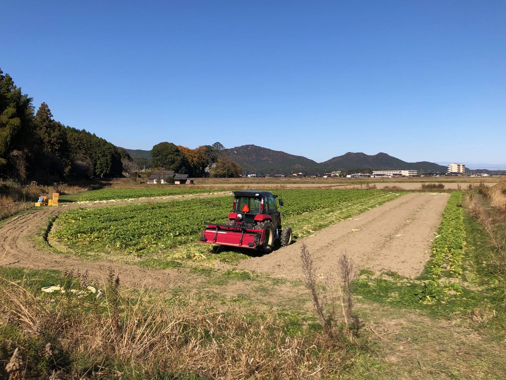 生産農家いなかやへのレビュー・商品：福岡県｜食べチョク｜産地直送