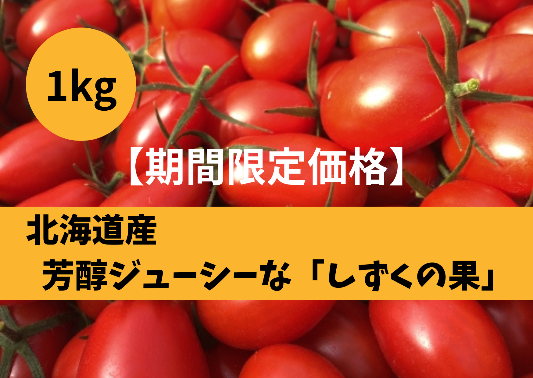 超濃厚！甘い、うまい、とまらない。完熟ミニトマト「しずくの果