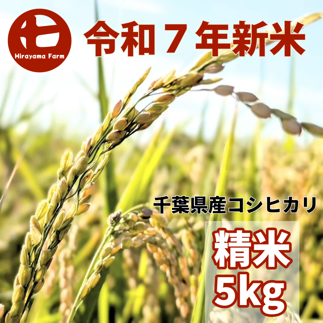 s*♡様 お米専門農家スーパープレミアム専門。富裕層様向け 新米令和6年11月2 m*n様 お米専門農家スーパープレミアム専門。富裕層様向け 新米