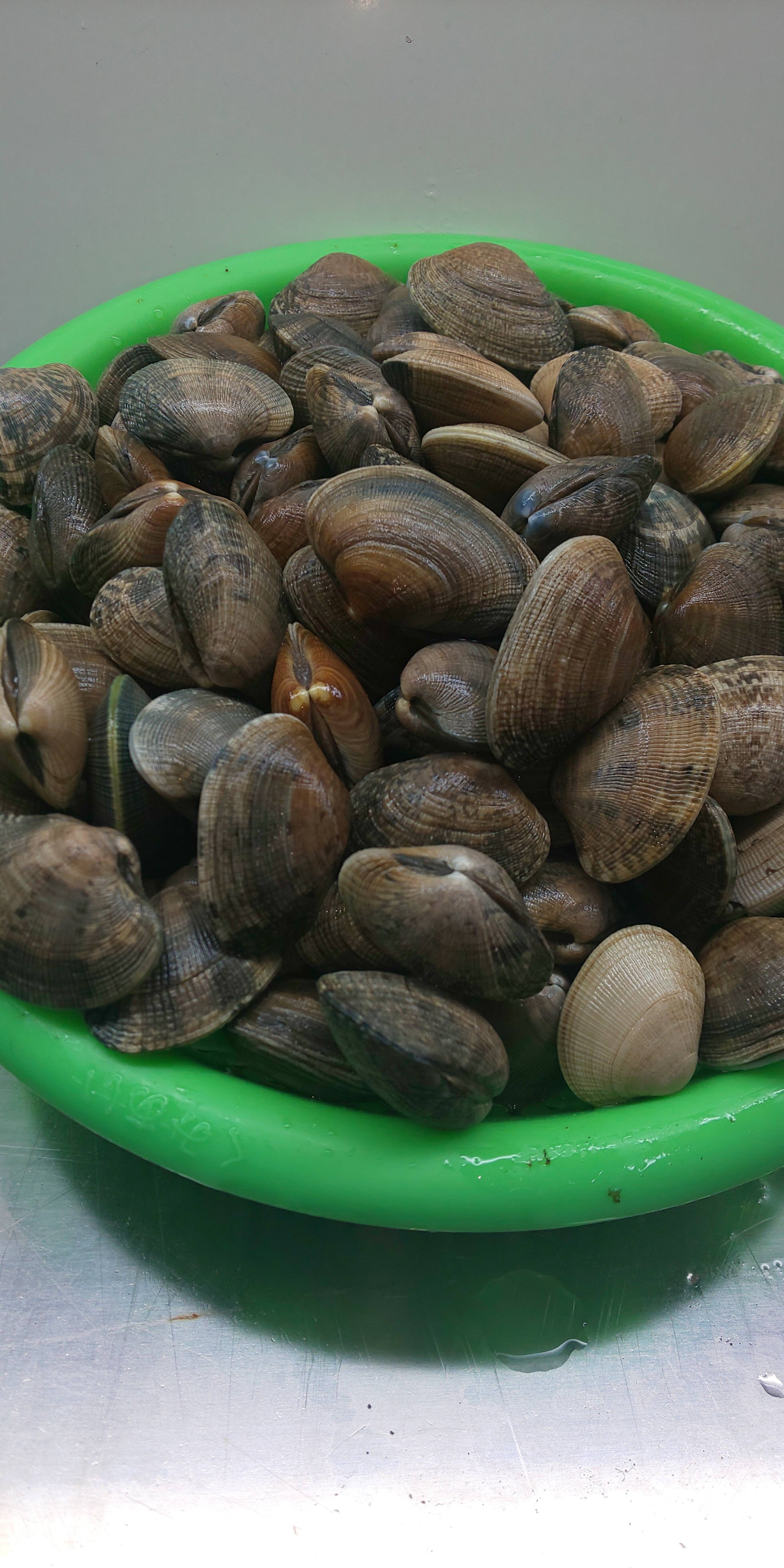 大特価 父の日特別の千円値下げ 根室市風蓮湖・温根沼産 豆アサリ＜1.5