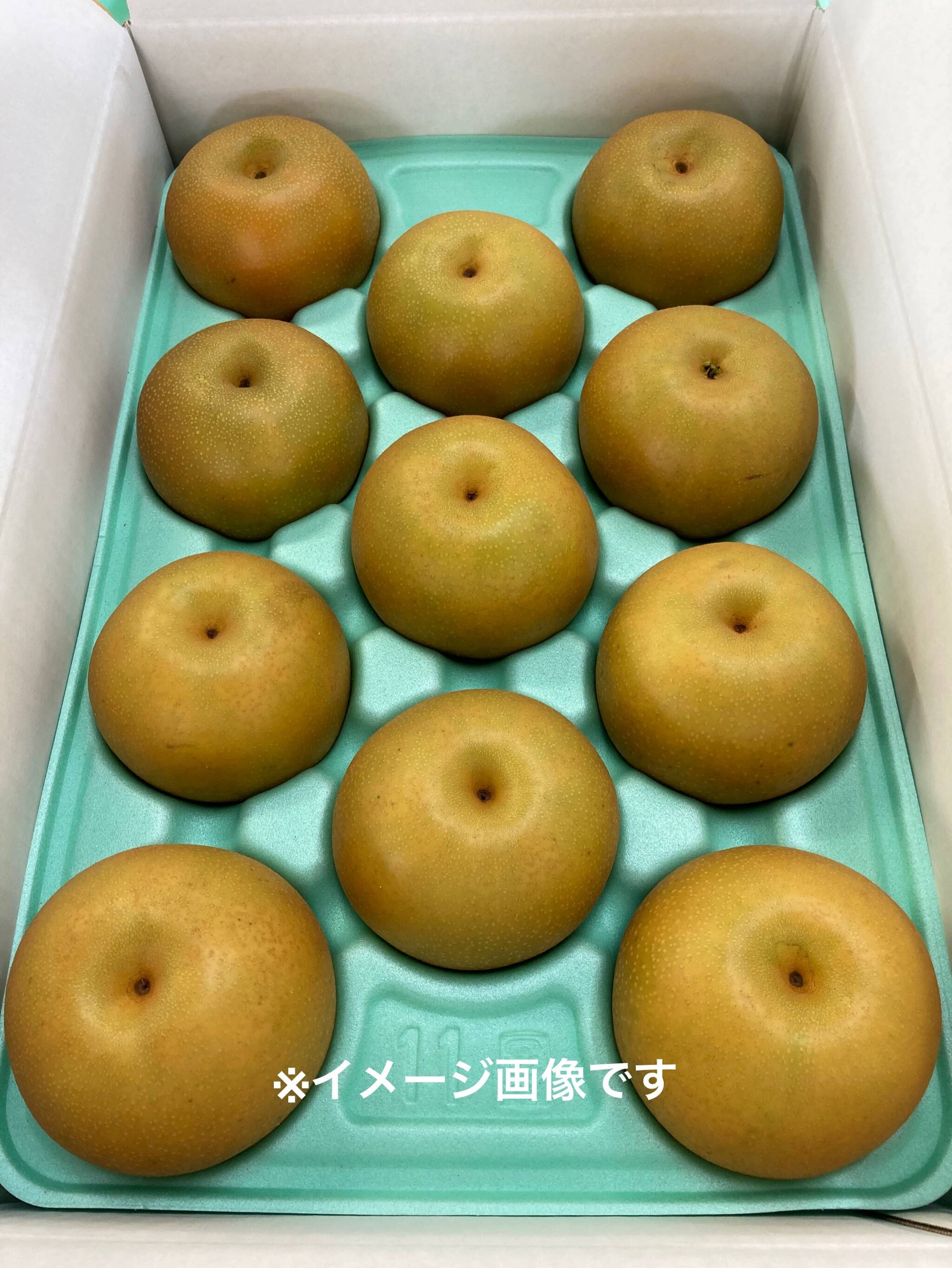 千葉産梨幸水1箱5kg特大玉2箱まとめてお買得 人気の幸水【贈答品】5kg箱 甘くてジューシー！8月発送！：栃木県産の