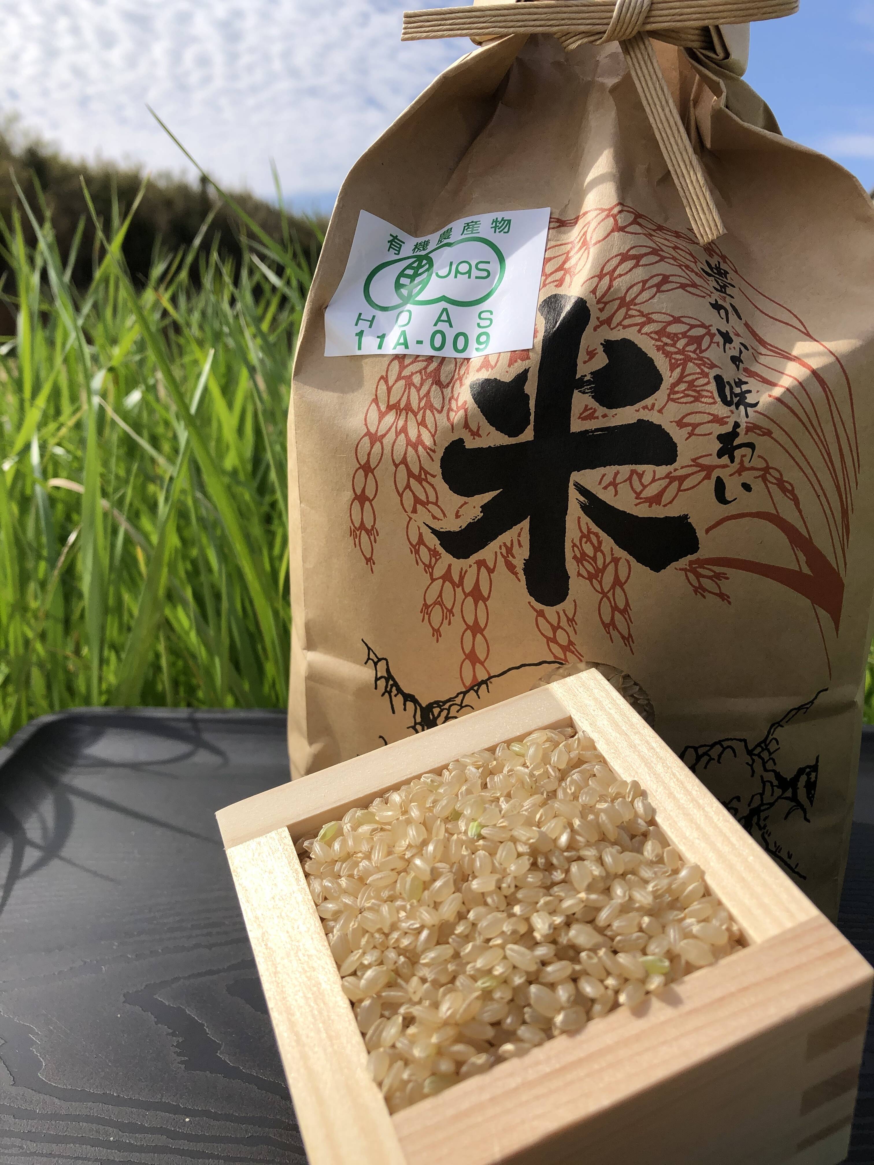 食品/飲料/酒元年9月26日収穫　無農薬島根県産きぬむすめ100% 20kg 玄米