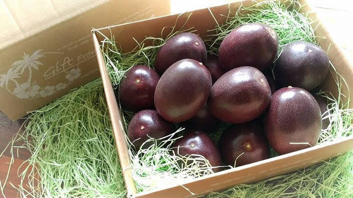 🌿予約【2024年6月～随時発送】✿ご家庭用✿完熟パッション