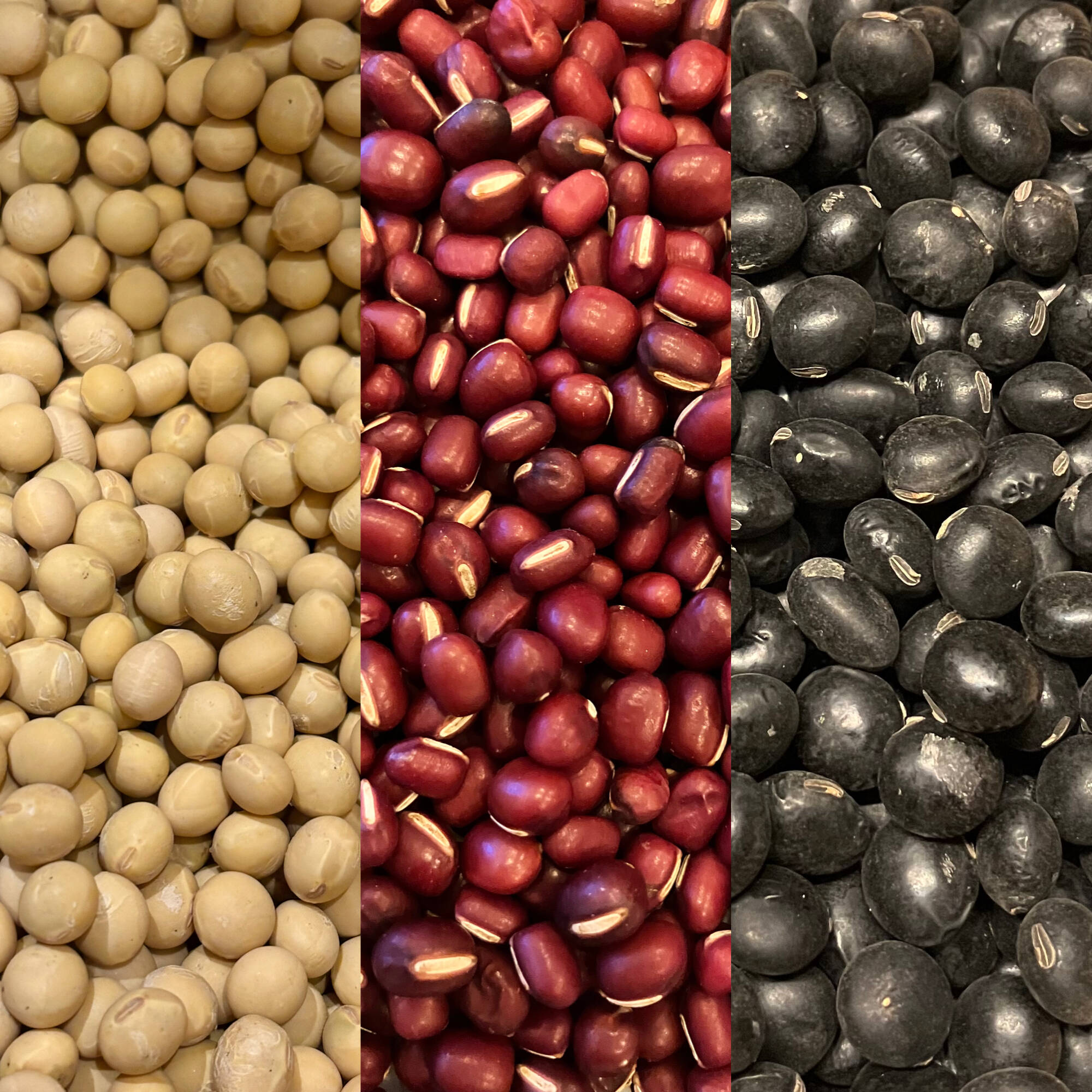 3種食べ比べ?小豆250g＋黒豆250g＋「鶴の子大豆」250g＝計750g 