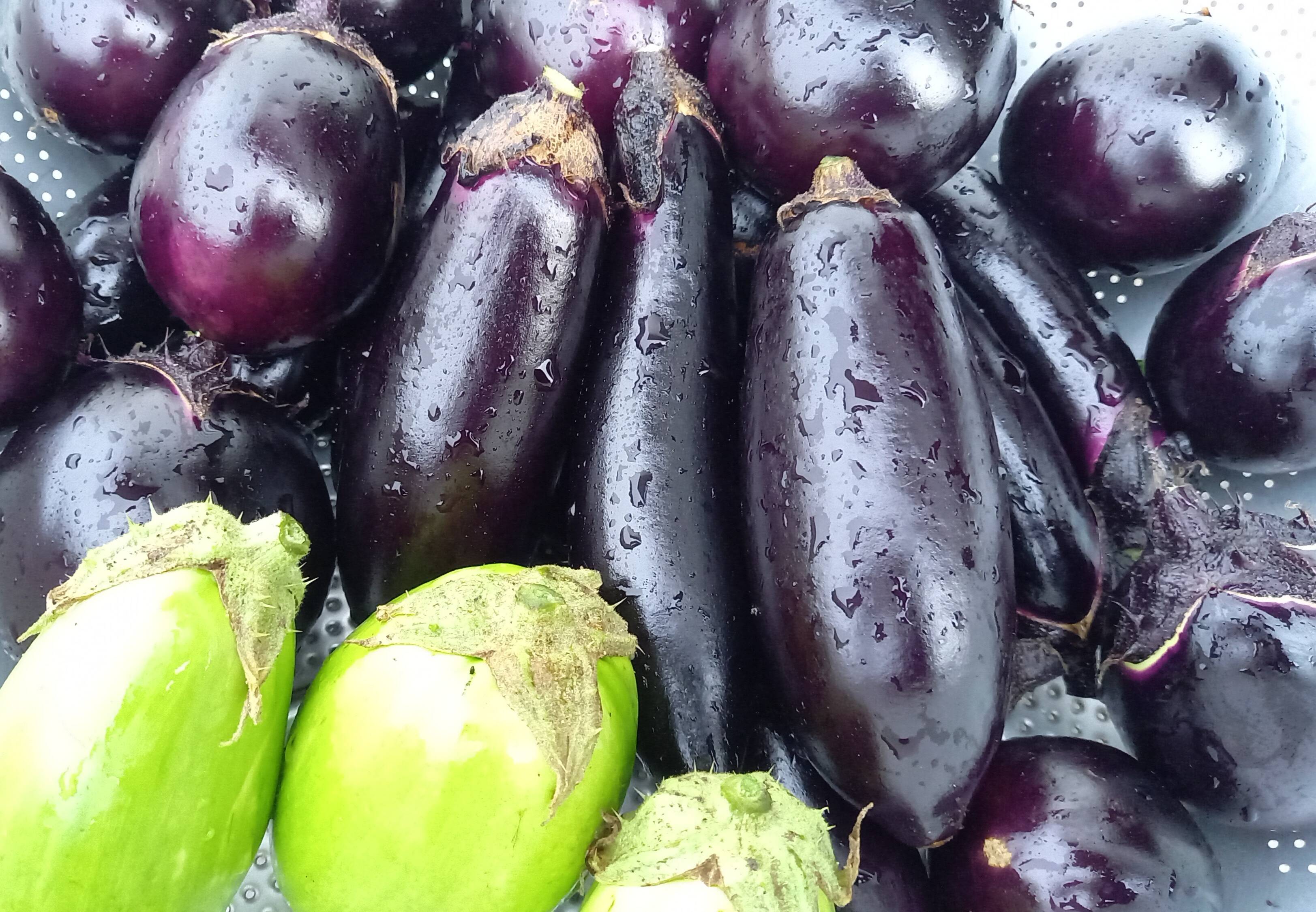 未来をつくる笑み野菜】今日のご飯はこれに決まり。化学農薬・化学肥料