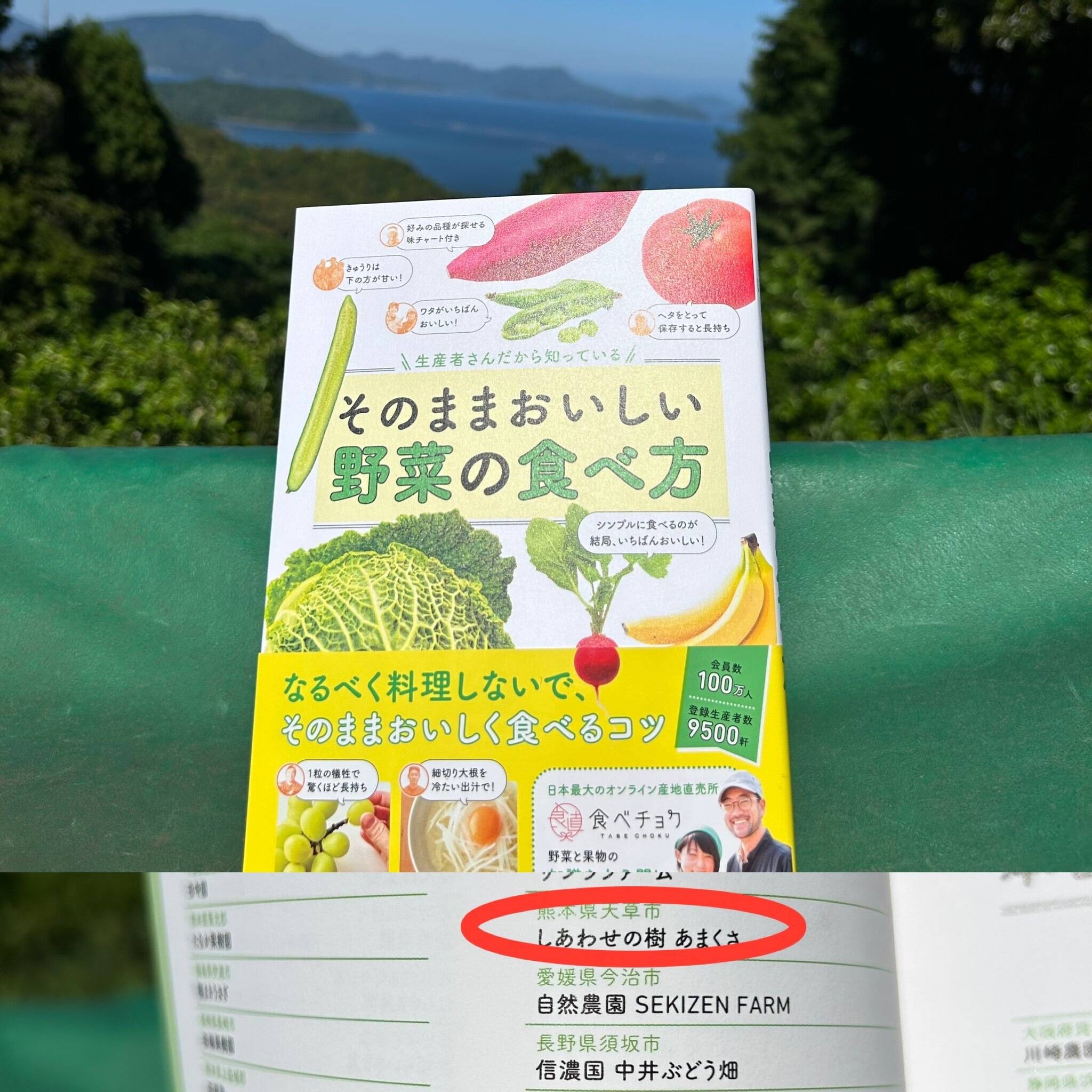 本｜食べチョク｜産地直送(産直)お取り寄せ通販 - 農家・漁師