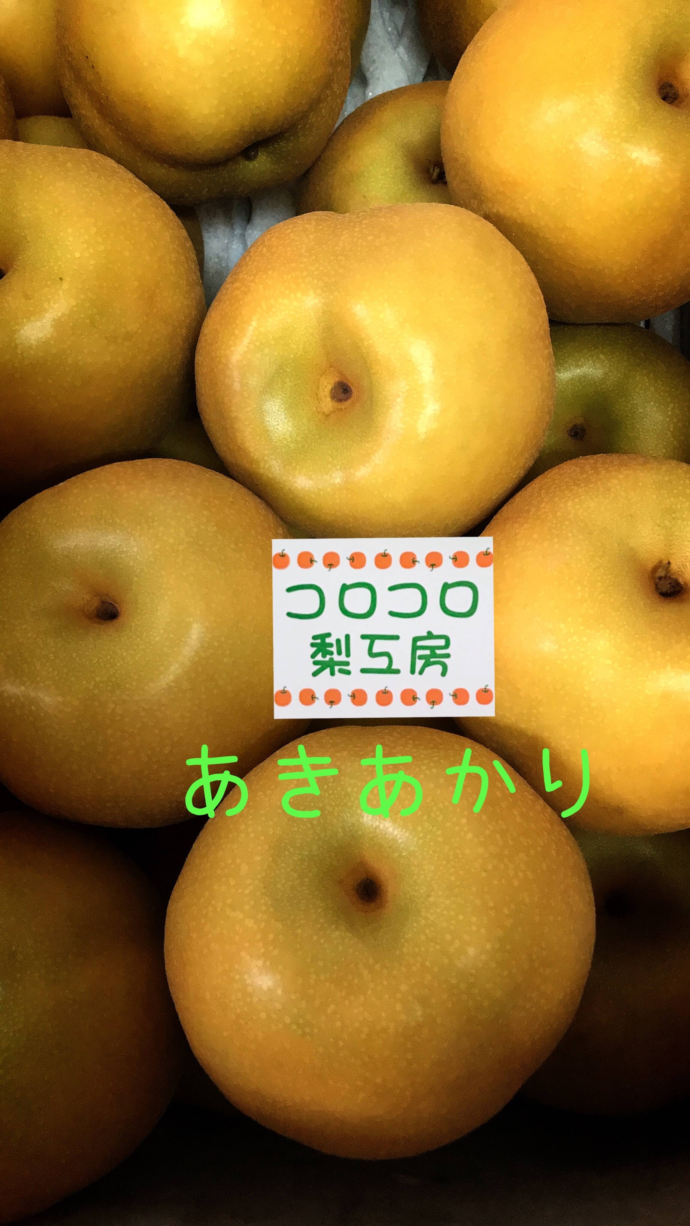 激レア品種①】とにかく甘い‼️あきあかり梨✨️約2.2kg(5-7個入)糖度