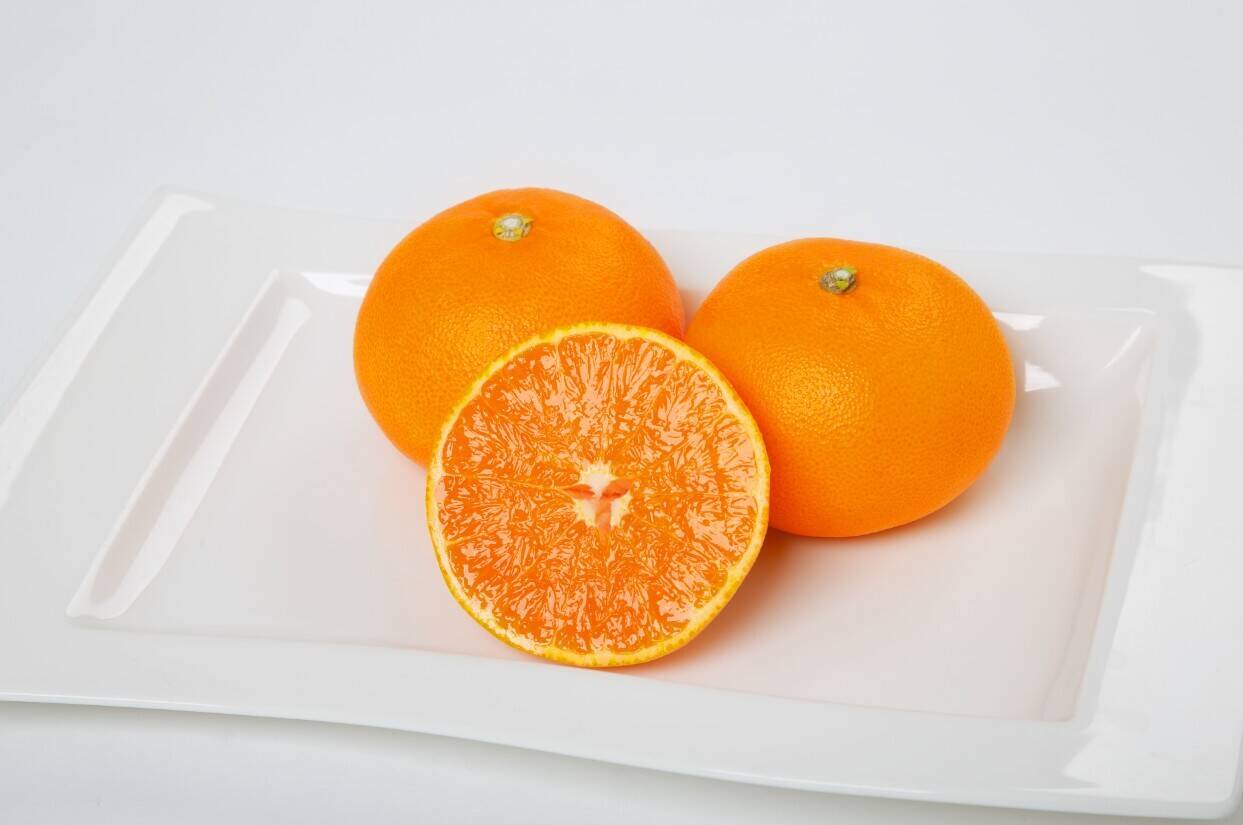 蔵出し極熟せとか 2kg×2箱(4kg)【残り僅か】【訳あり】～見た目は訳