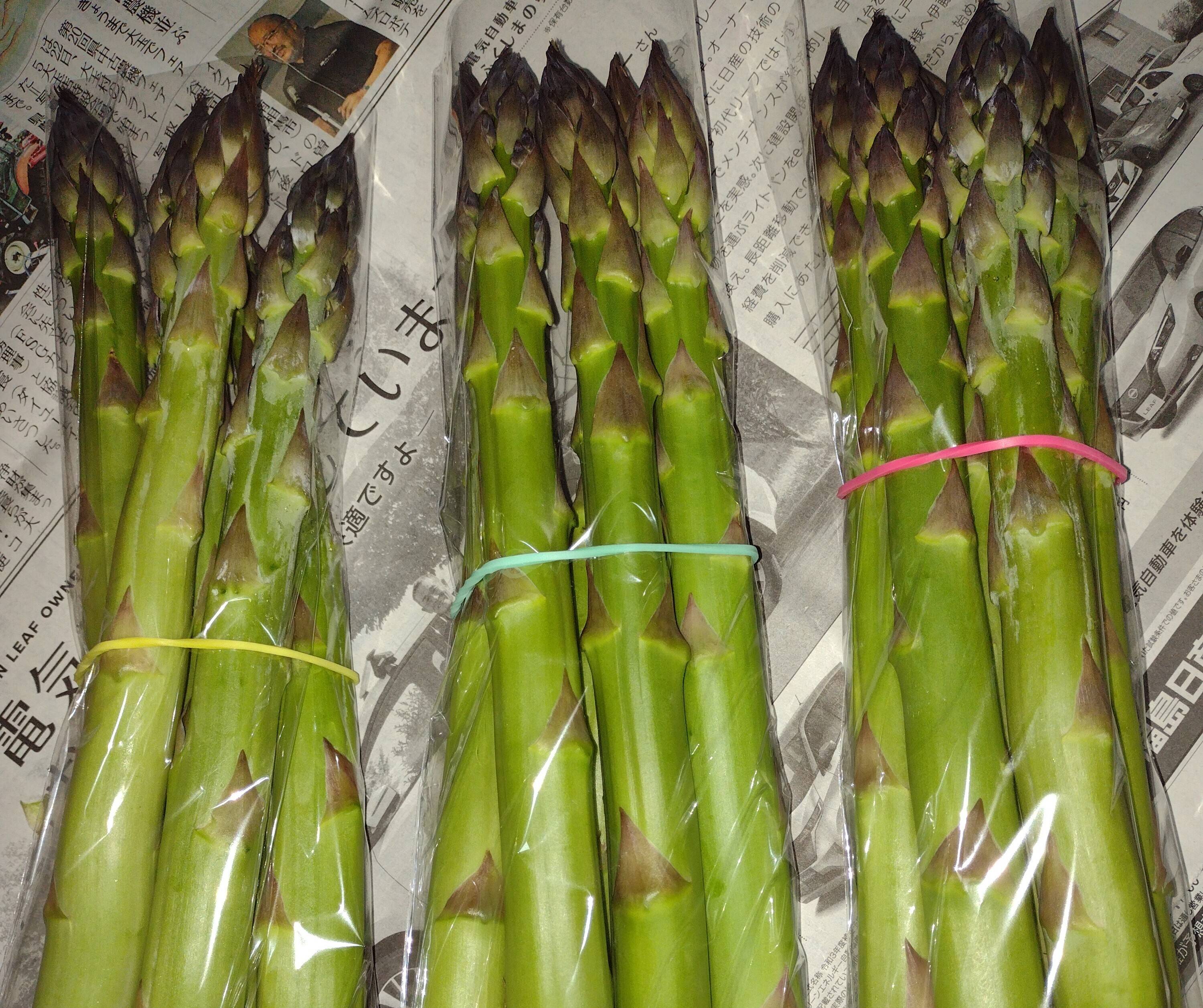 送料無料 ギフト 5月のみ 1日1箱限定】アグリットのアスパラ極太セット900g：福島 野菜