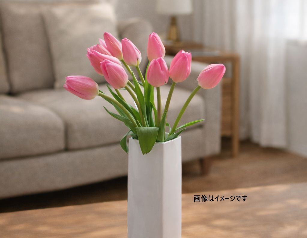 c307b8fc66ac788ea2ee8f798cb31d