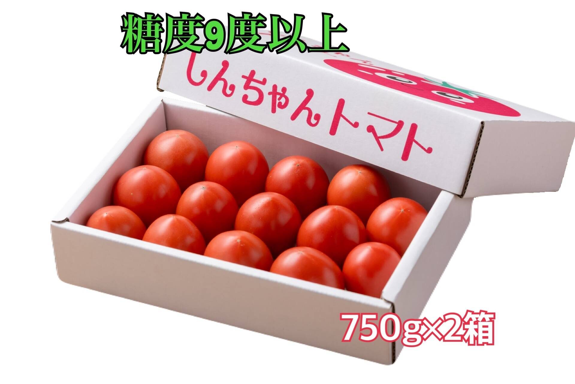 フルーツトマト 糖度9度以上 約750g×2箱 高知県土佐市：高知県産の