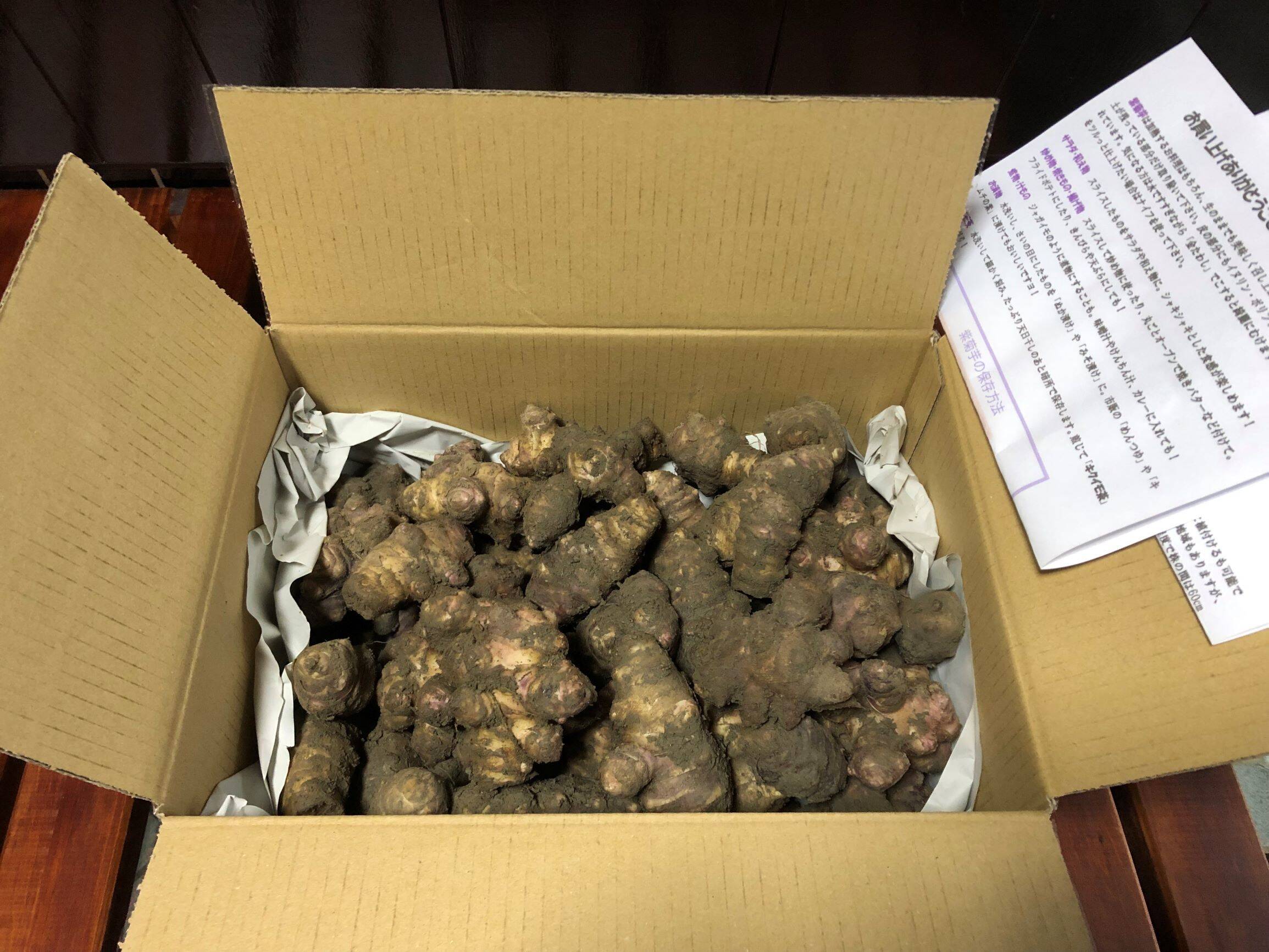 国内在庫 100個 岩手県産ムラサキキクイモ 種芋100個 赤菊芋 フランスキクイモ 生芋 栽培期間中農薬不使用 山菜苗 土付き 12月2日お届け開始 Fucoa Cl