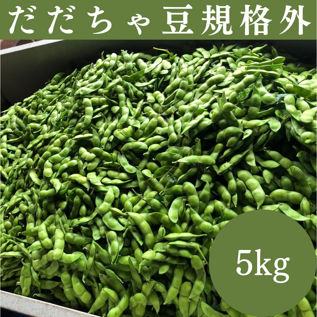 だだちゃ豆 規格外品 5kg 山形県 鶴岡市 特産 枝豆の王様 量り売り 季節限定品 お取り寄せグルメ おつまみ 夏の風物詩  うまい！：山形県産のだだちゃ豆｜食べチョク｜産地直送(産直)お取り寄せ通販 - 農家・漁師から旬の食材を直送