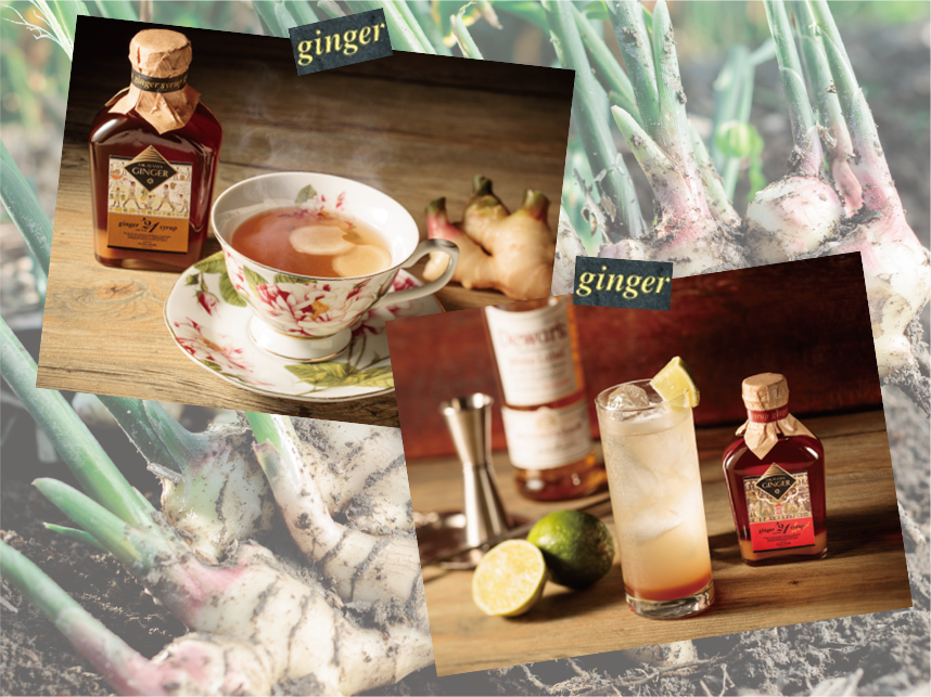 お得な大人気セット おかやまジンジャーシロップ レギュラー ハード 各160ml 岡山県産 食べチョク 農家 漁師の産直ネット通販 旬の食材を生産者直送