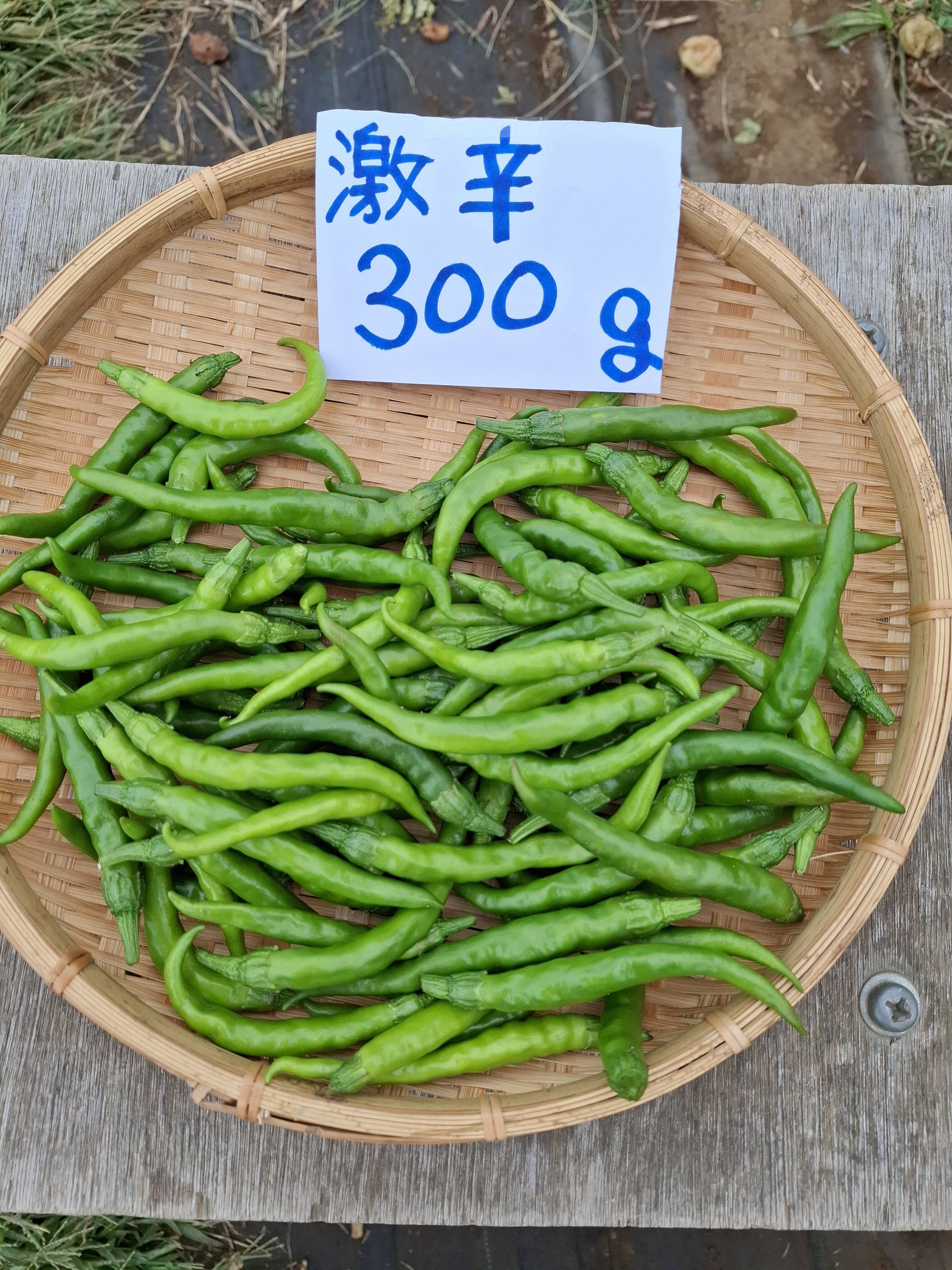 訳あり‼ガツンと辛い激辛青唐辛子2025年新物300g：神奈川県産のその他