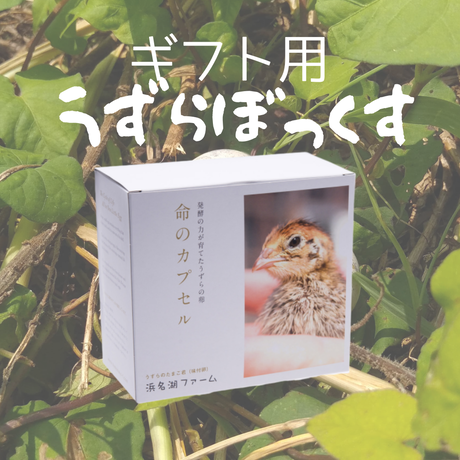 うずらぼっくす〔うずら生卵・うずら燻製玉子2種・殻割ハサミ〕+うずら