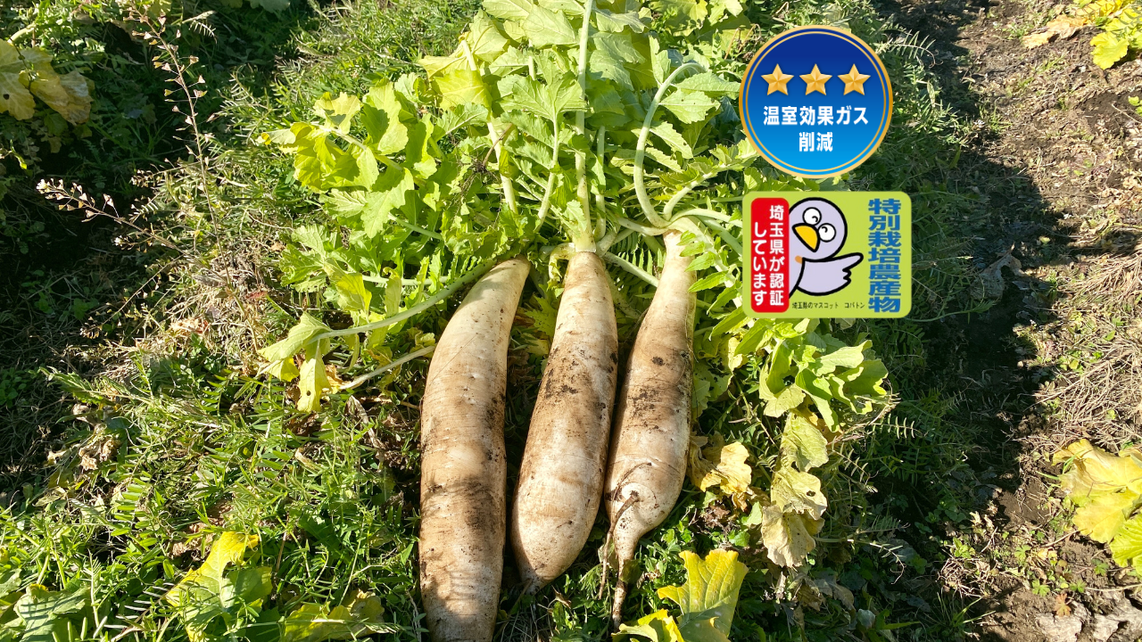 c4094c8204046cb48653f5ebcb5933