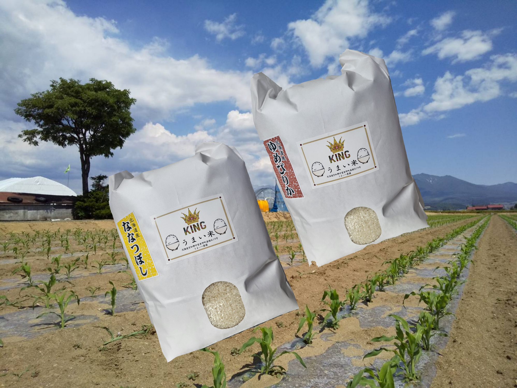 新米ゆめぴりか、ななつぼしのブレンド米：北海道産のななつぼし｜食べ