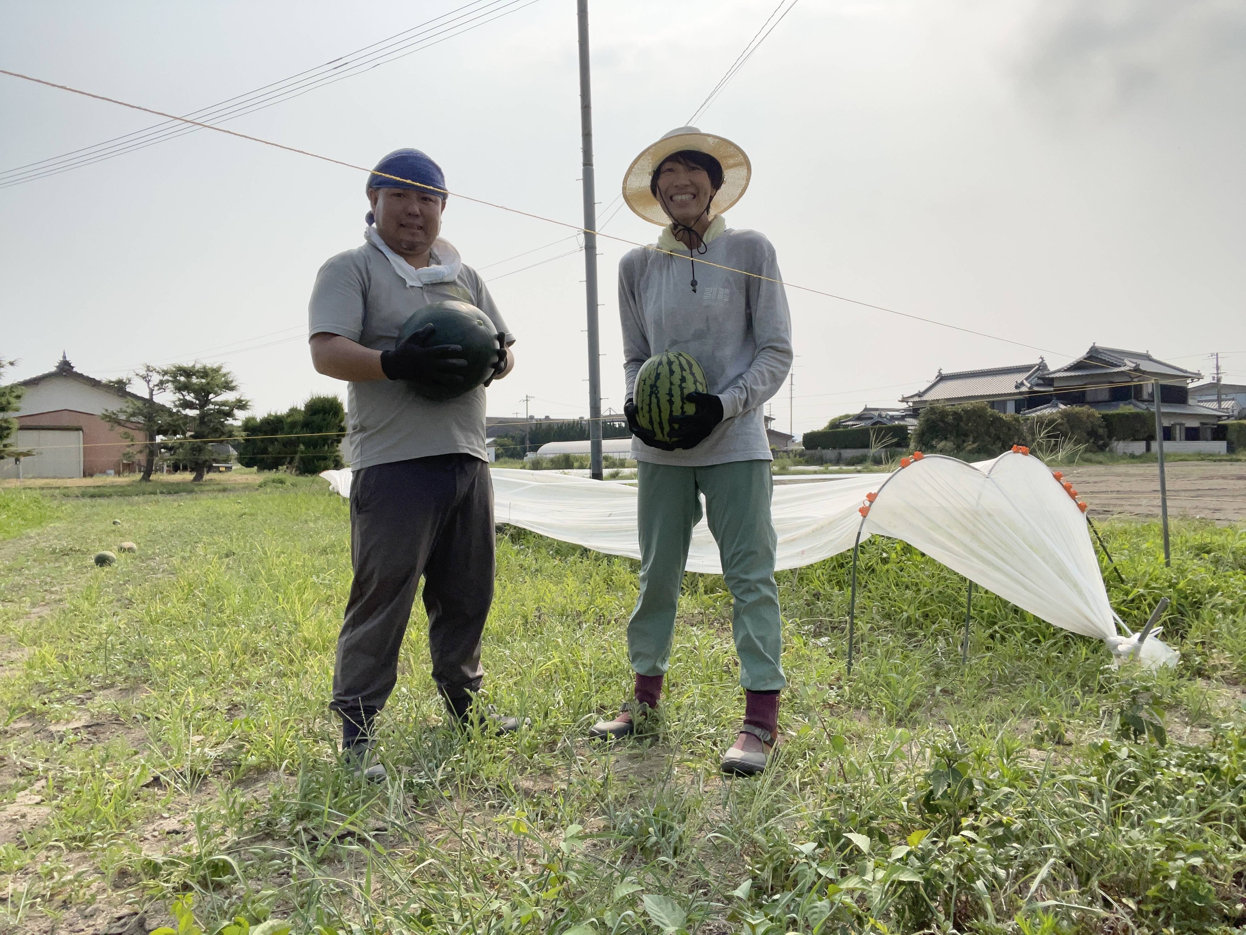 農薬不使用〜にこファーム〜ページ 農薬・化学肥料栽培中不使用！ひとりじめナノ：香川県産のひとりじめ
