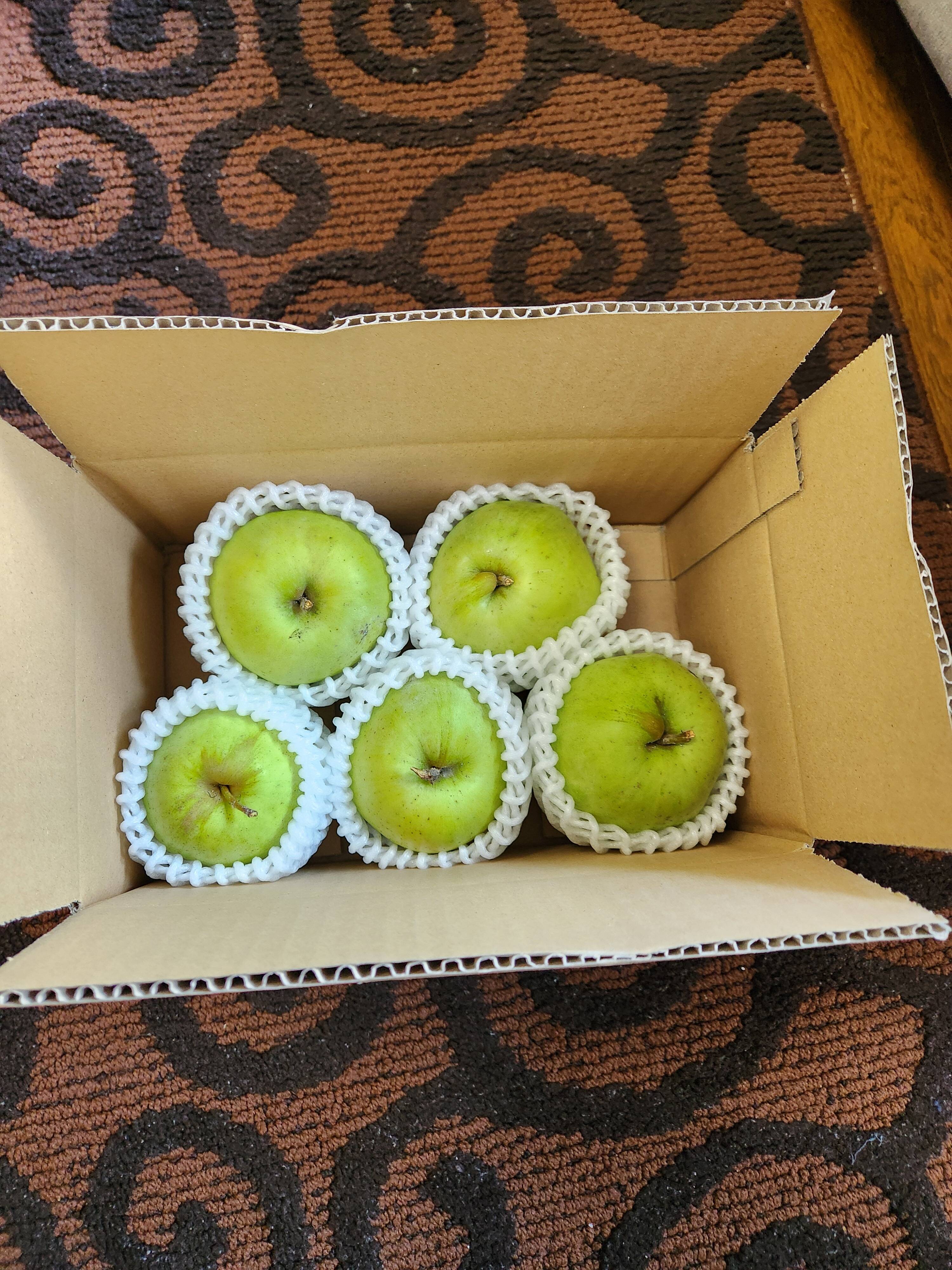 希少品種!印度りんご 5玉 小さめ：北海道産の印度｜食べチョク｜産地