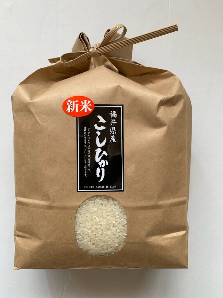 福井県産コシヒカリ 令和7年新米】 福井県産こしひかり2kg：福井県産のお米｜食べ