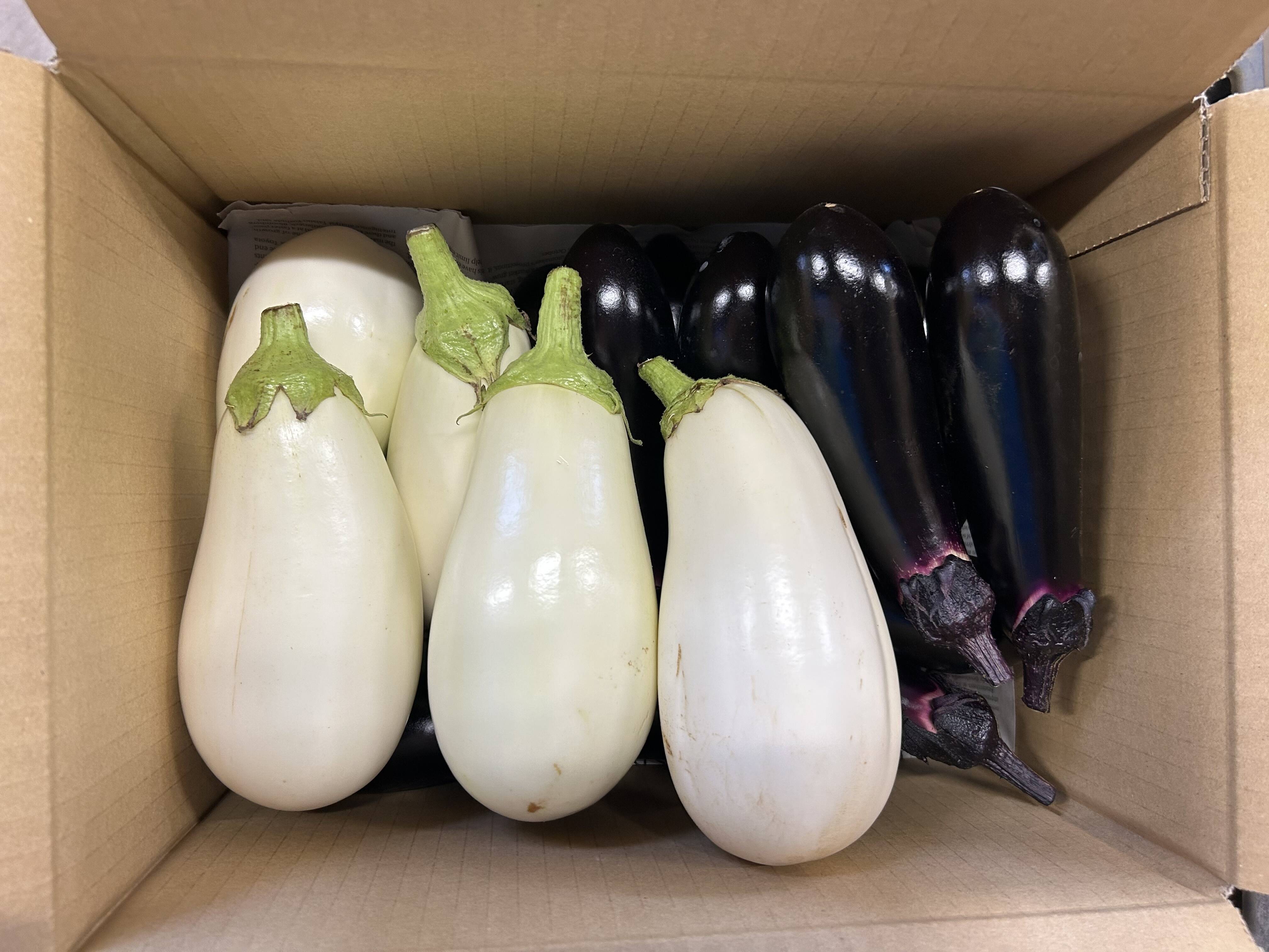 c42e0cb4d4dc0ba00eb2eef36a272a