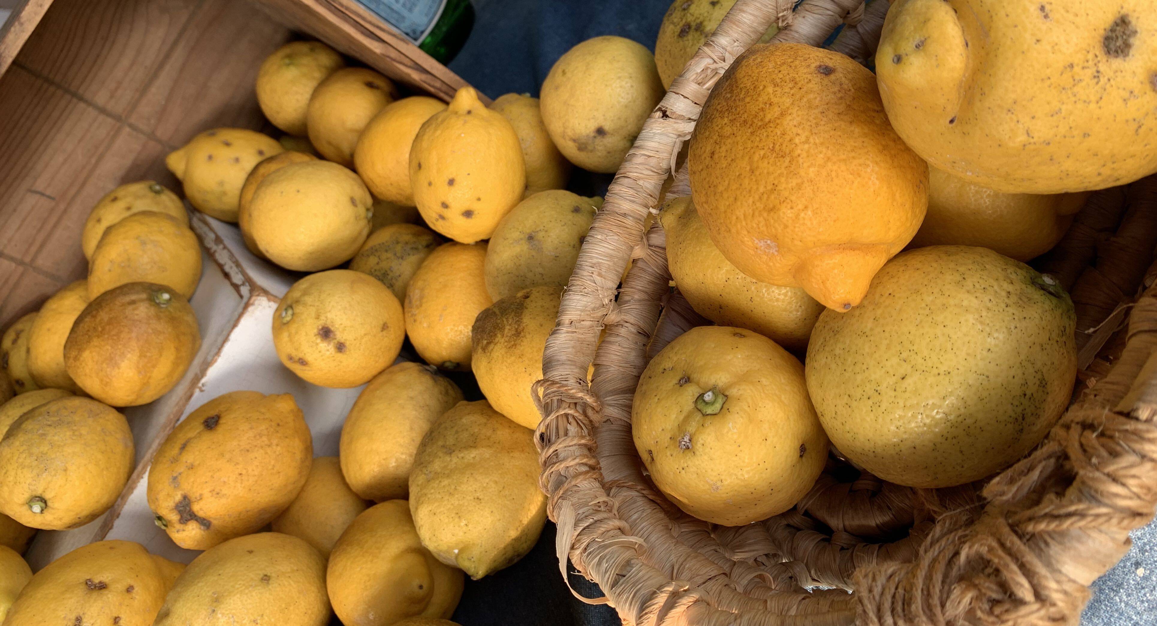 今期最終】瀬戸田発！農薬・肥料不使用の自然農レモン(B品)(2kg)レモン