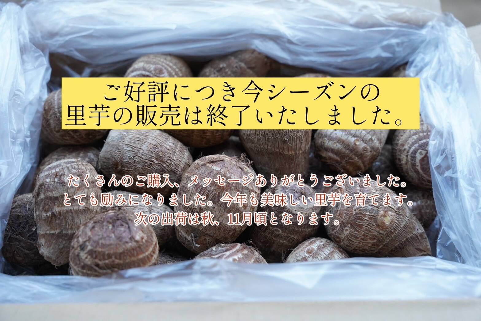 農薬・化学肥料不使用】ねっとり里芋（土垂）大サイズ 5kg：千葉県産の