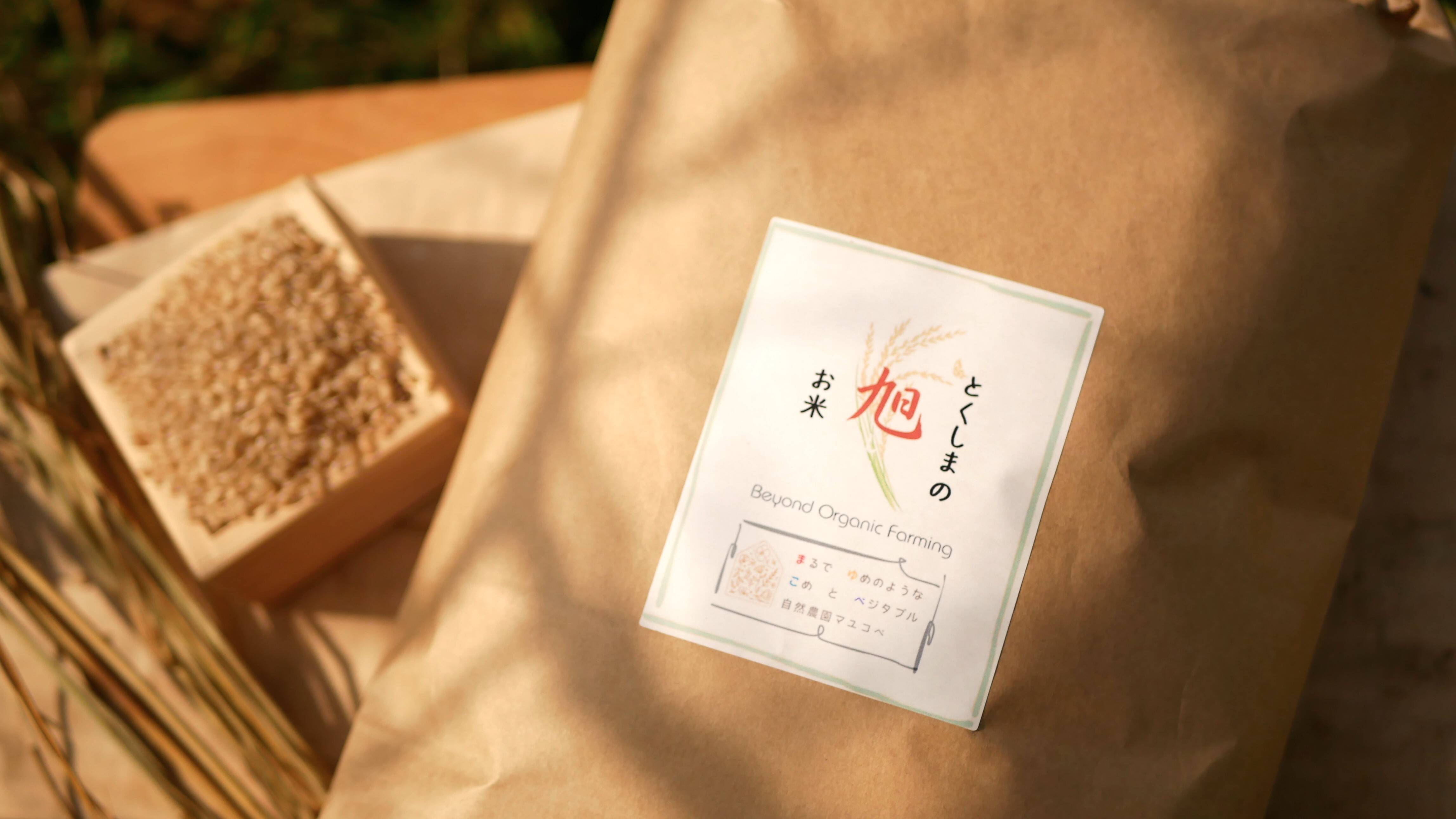 2023年新米！【自然栽培のお米】110年前の西日本で一番人気のお米、旭