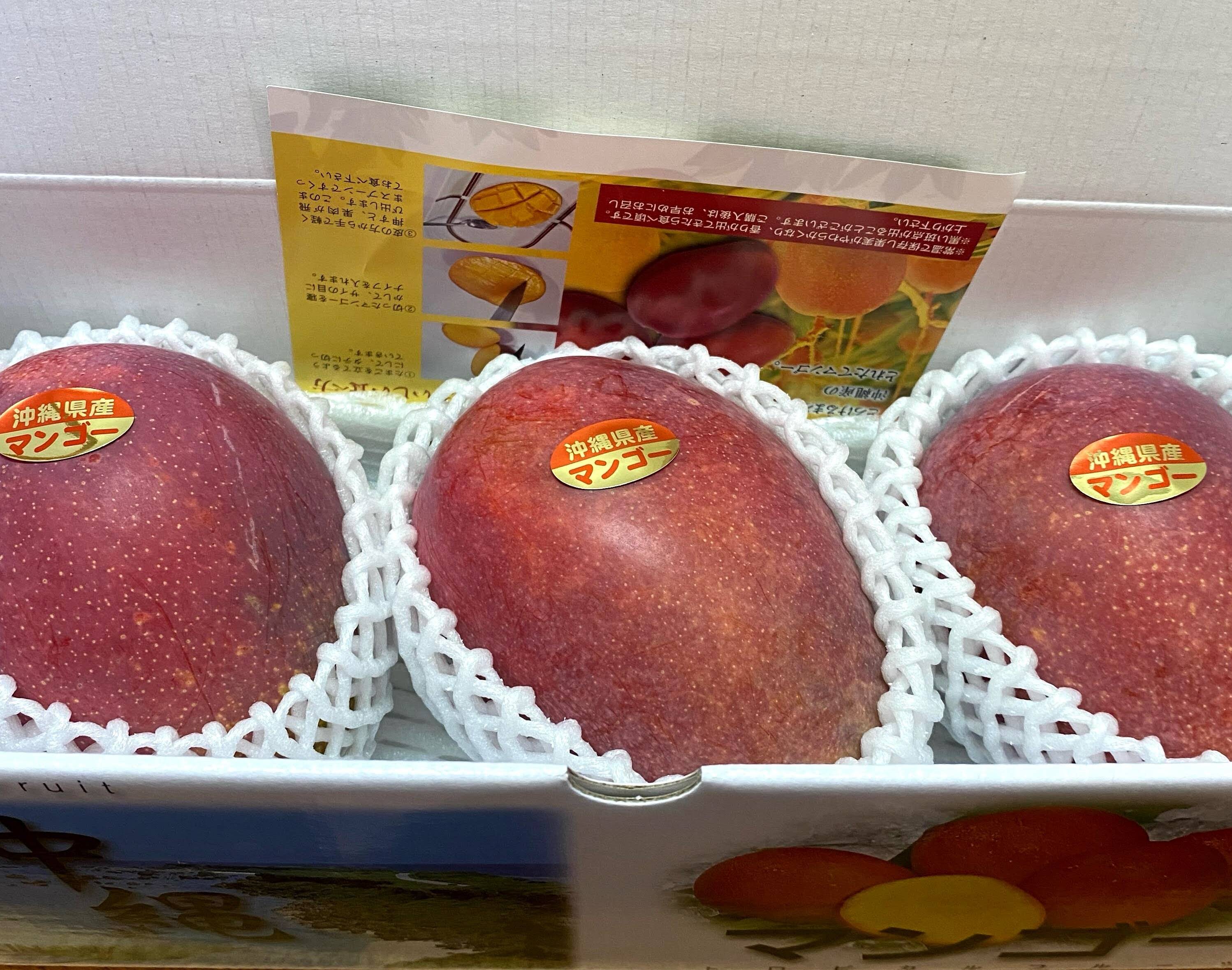 沖縄産 贈答用アーウィンマンゴー 4玉 (2kg)クール便発送 沖縄産 贈答用アーウィンマンゴー 4玉 (2kg)クール便発送
