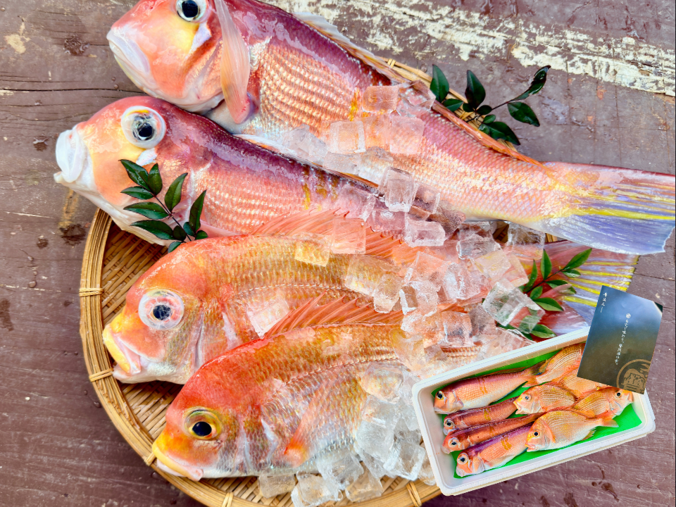 白身魚の食べ比べ】甘鯛 × レンコダイ セット（合計6kg）：宮崎県産の