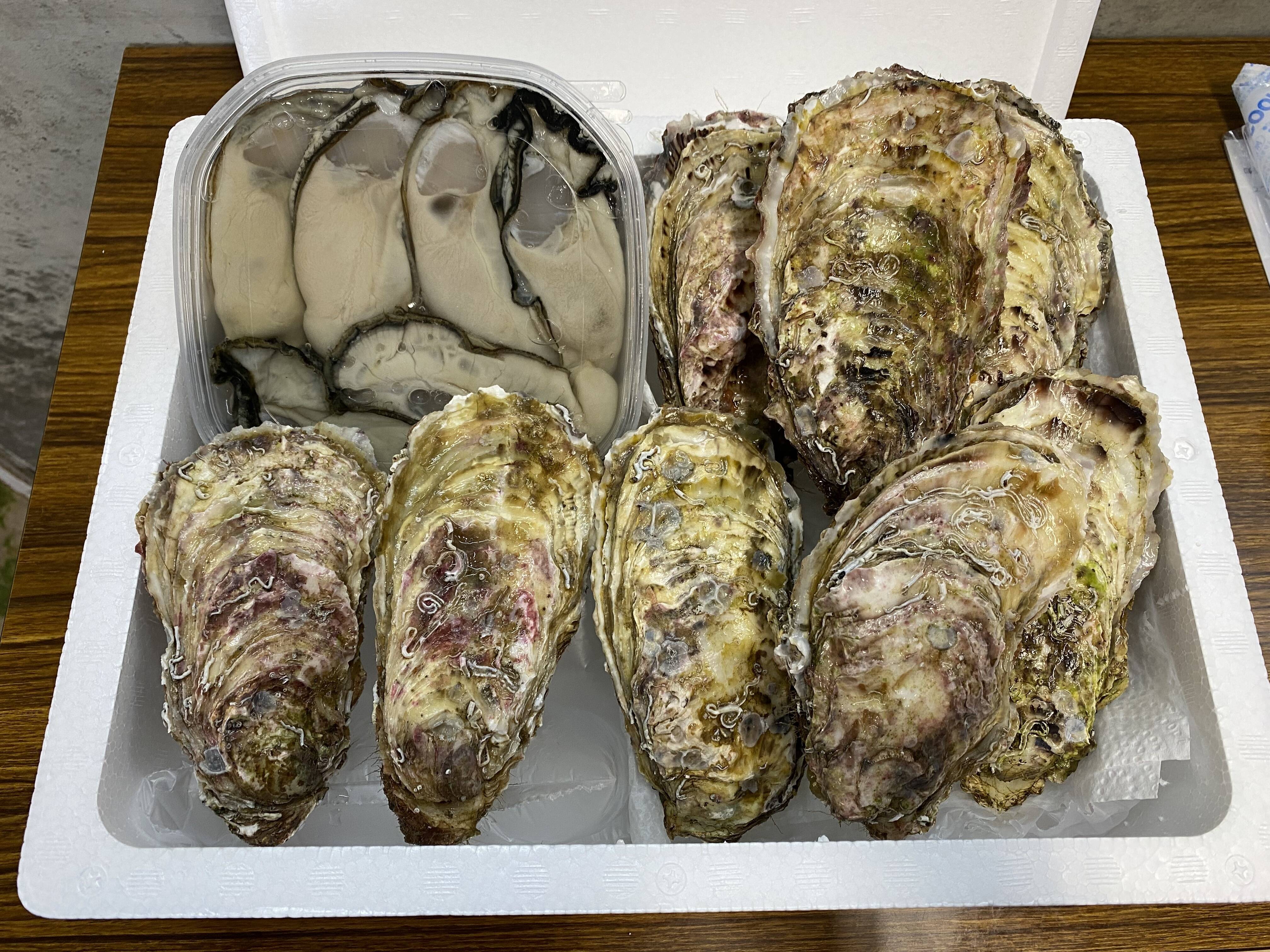 牡蠣の日セール ザキ水の牡蠣ギフト 大粒剥き身500g 殻付牡蠣 山崎 8個 お届け日11 21 11 23限定 栄養豊富な牡蠣を食べて勤労の疲れを癒しましょう 岩手県産 食べチョク 農家 漁師の産直ネット通販 旬の食材を生産者直送 牡蠣の日セール ザキ水の牡蠣ギフト 大粒剥き身500g 殻付牡蠣 山崎 8個 お届け日11 21 11 23限定 栄養豊富な牡蠣を食べて勤労の疲れを癒しましょう 岩手県産 食べチョク 農家 漁師の産直ネット通販 旬の食材を生産者直送