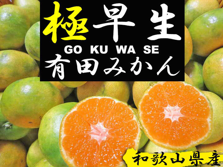 みかん 魚介系オール有機肥料！極早生みかん！和歌山県産有田みかん 5kg 訳あり：和歌山県産のみかん・柑橘類｜食べチョク｜産地直送(産直)お取り寄せ通販  - 農家・漁師から旬の食材を直送