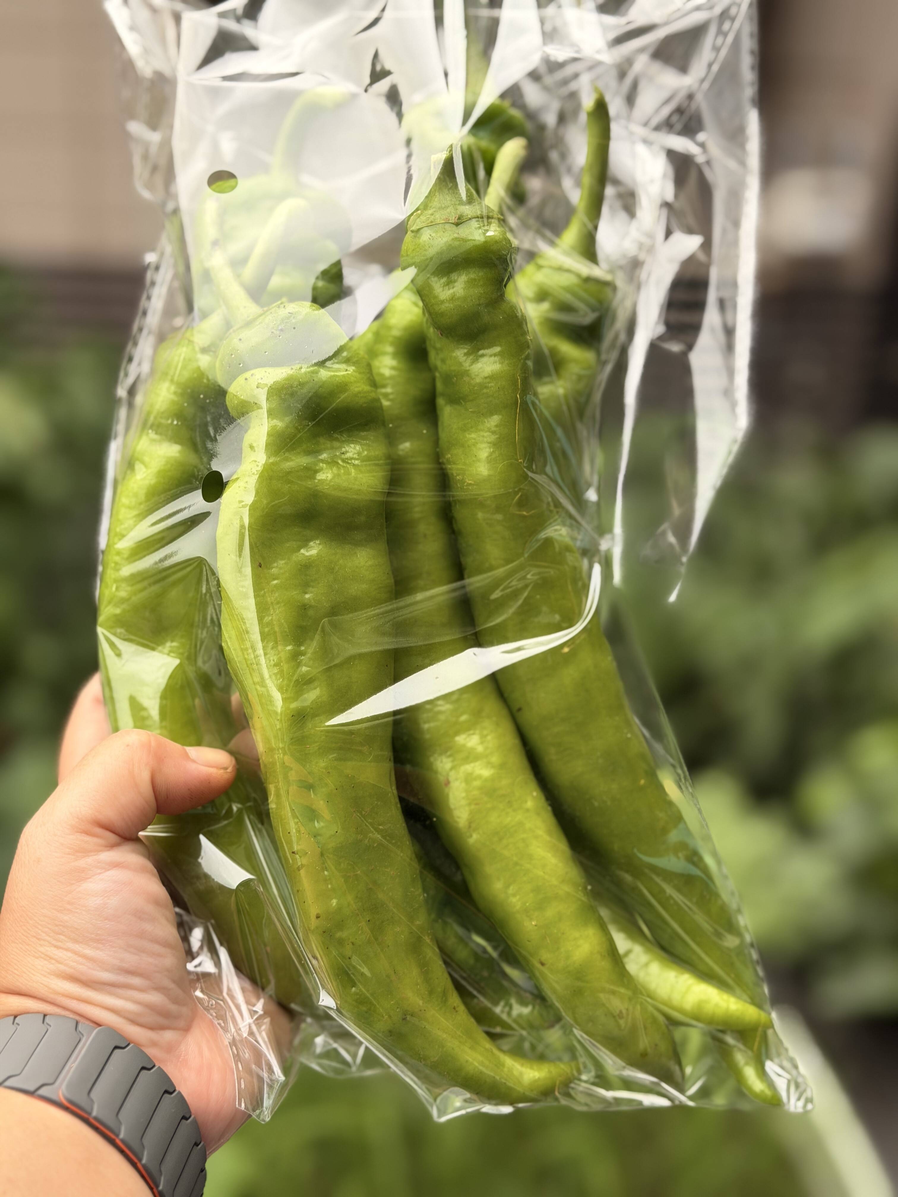 朝採り 新鮮】希少 牛角とうがらし 辛くない！生でも美味しい