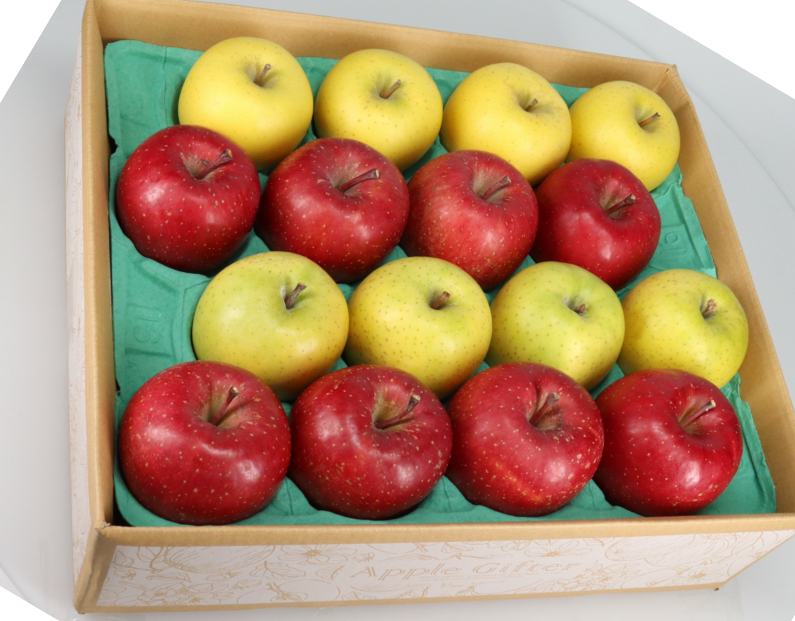 c5b73936a4cf0ad81a58240362947f