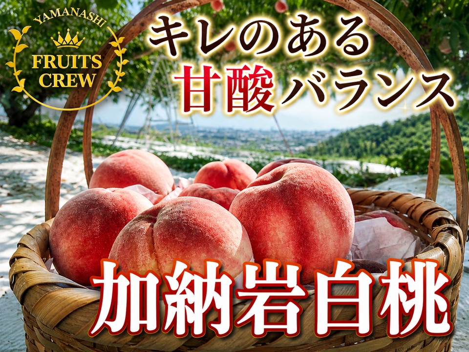 日テレ『news every』紹介】山梨生まれ激レア品種?夢桃香?本場山梨の 