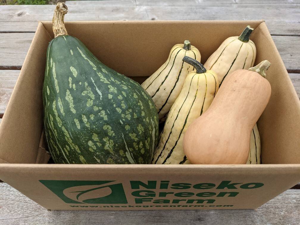 かぼちゃ×かぼちゃ×かぼちゃ - かぼちゃ三昧：北海道産のその他